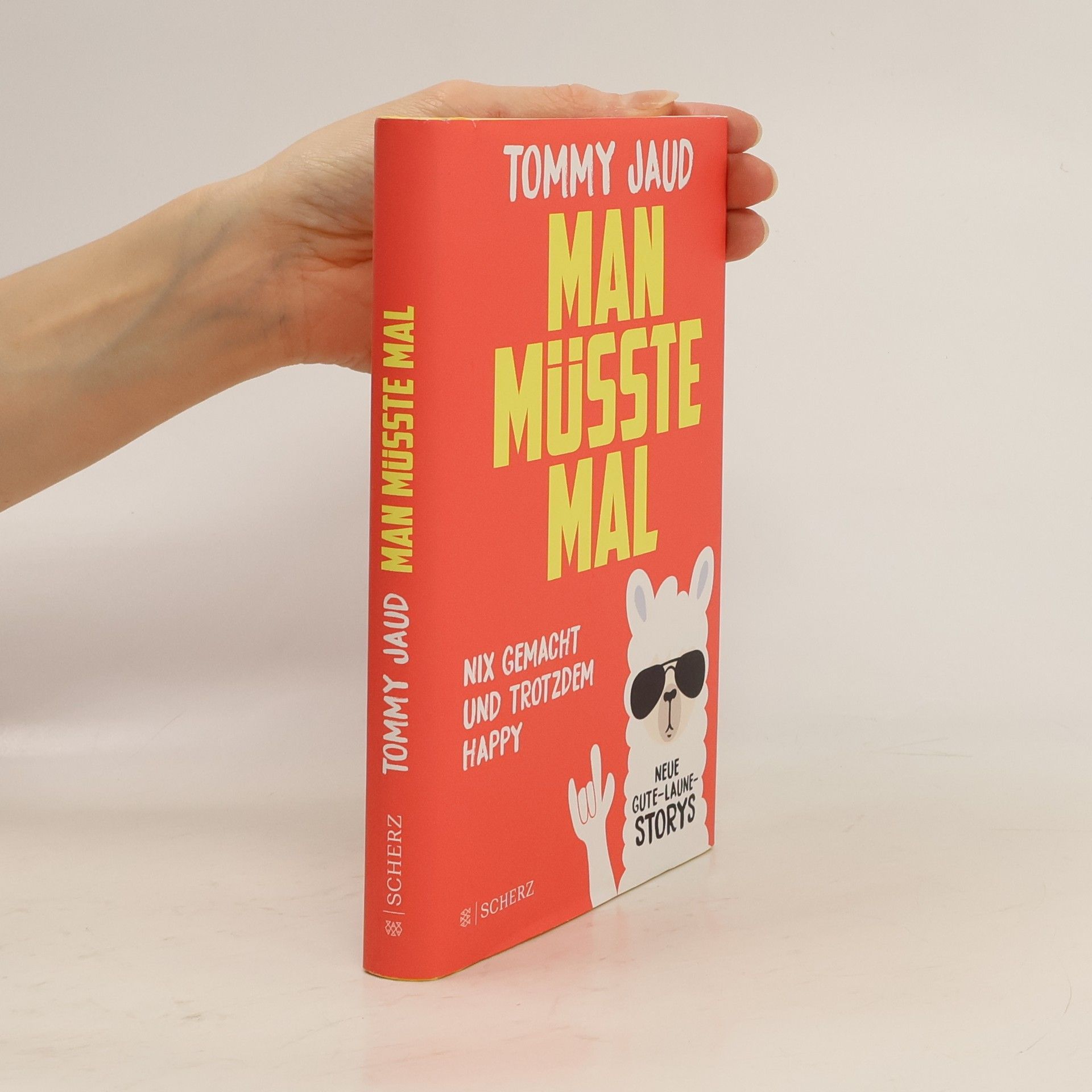 Tommy Jaud Man müsste mal