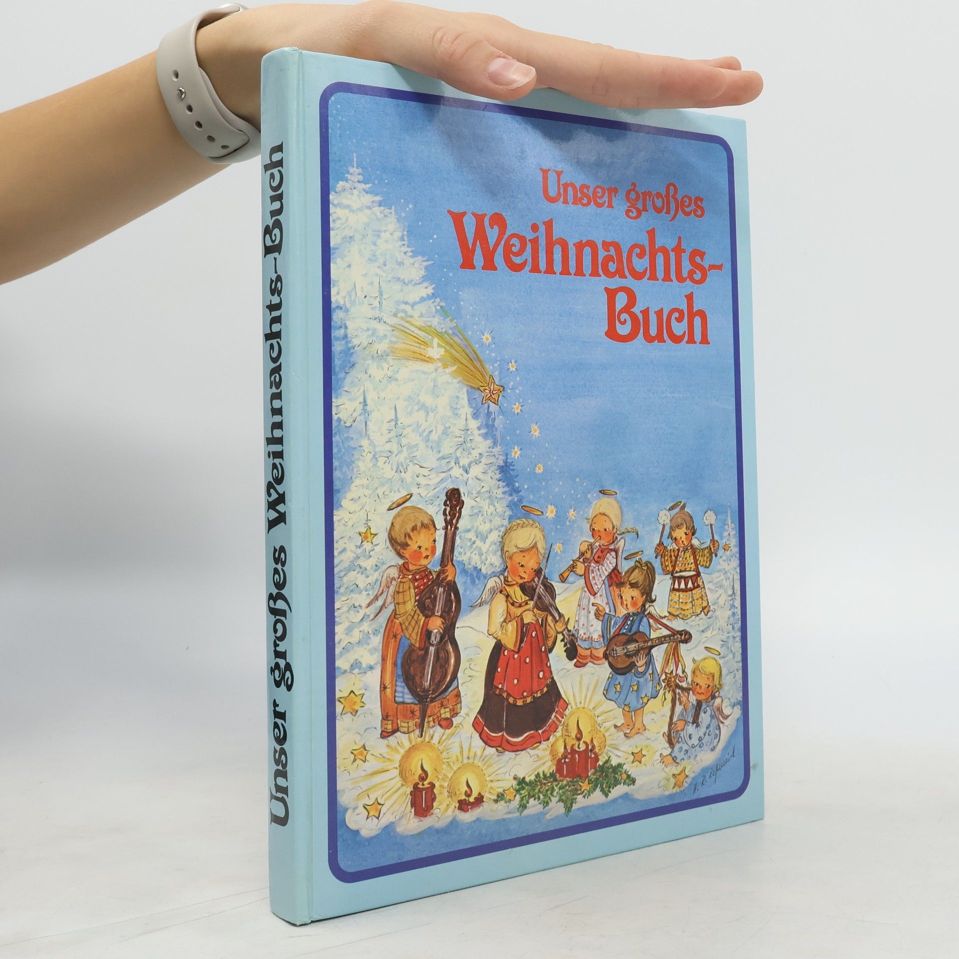 AA.VV. Unser großes Weihnachts-Buch