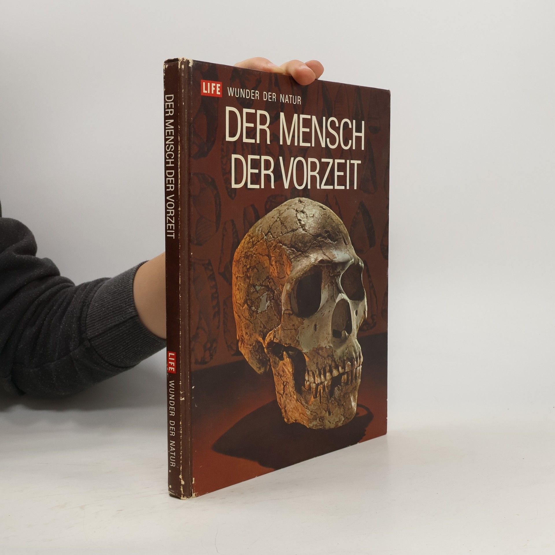 Collectif d'auteurs Der Mensch der Vorzeit