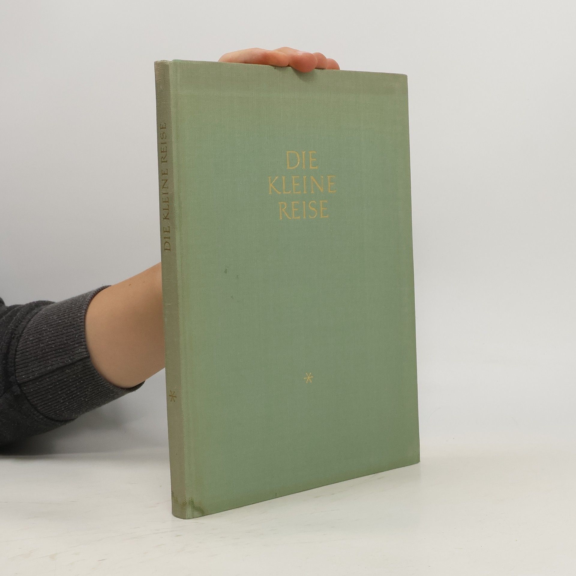 Autorenkollektiv Die kleine Reise