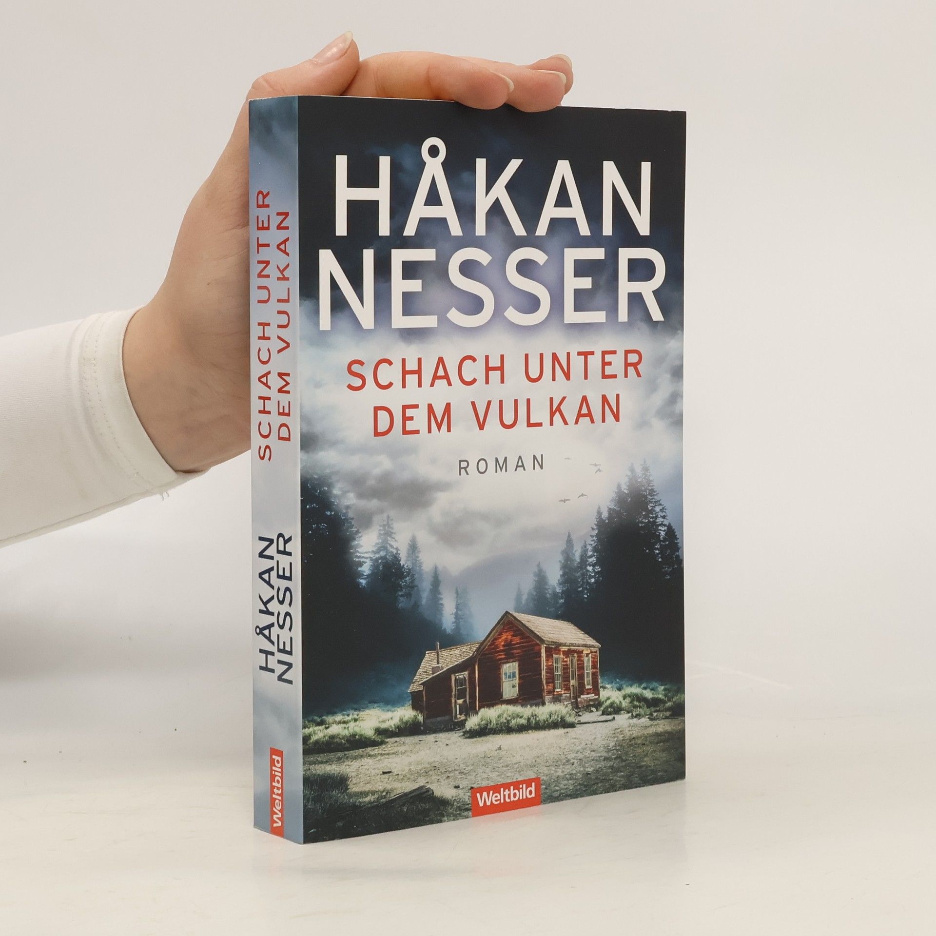 Hakan Nesser Schach unter dem Vulkan