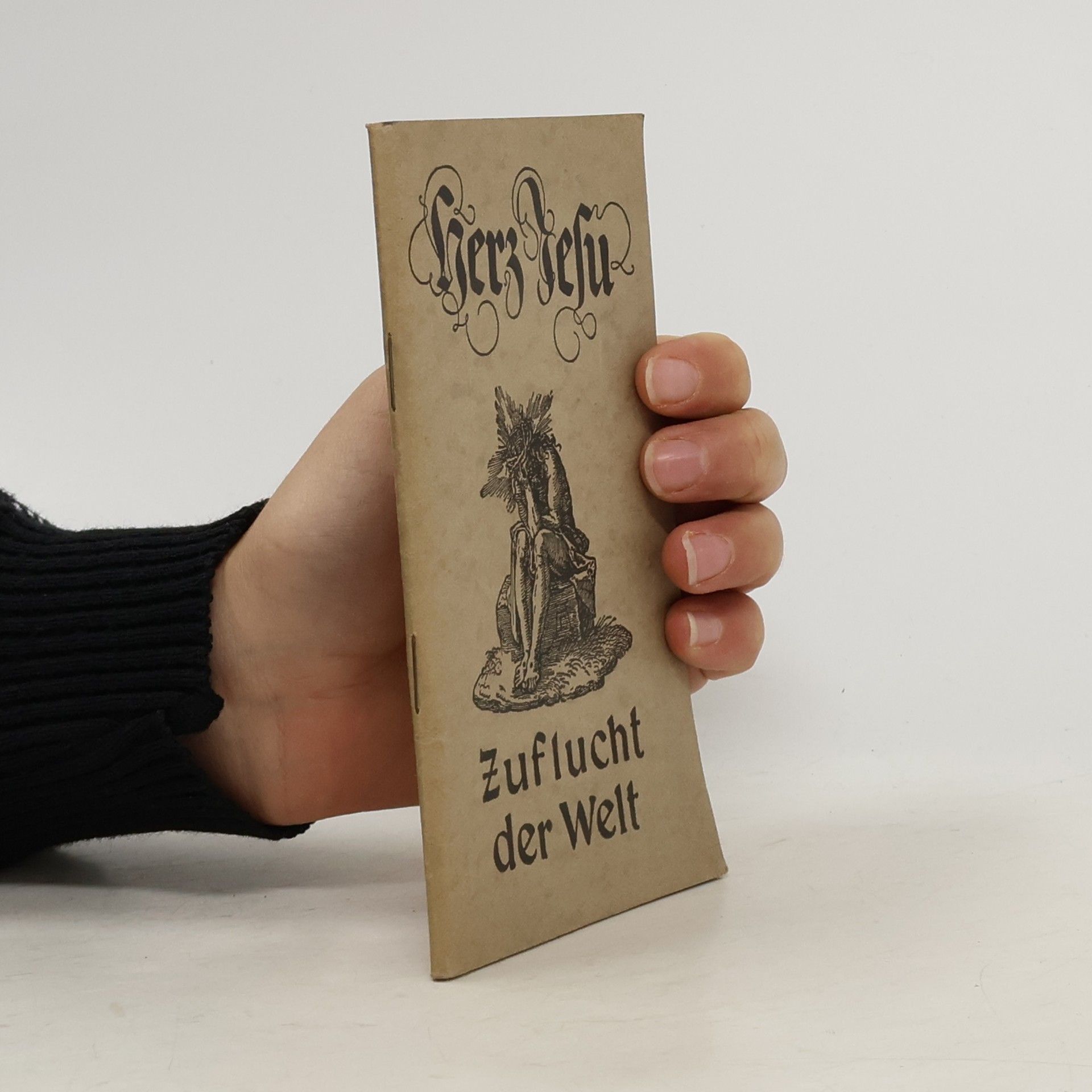 Herz Jesu. Zuflucht der Welt