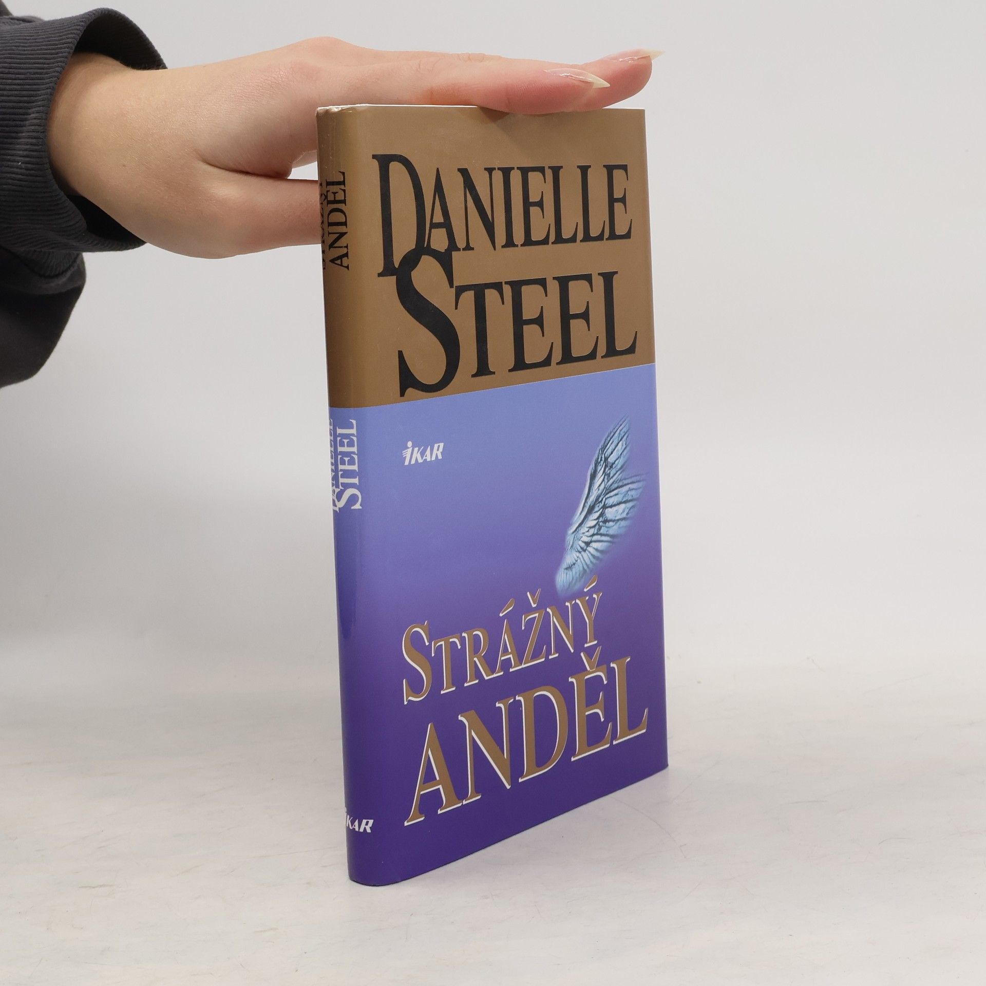 Danielle Steelová Strážný anděl