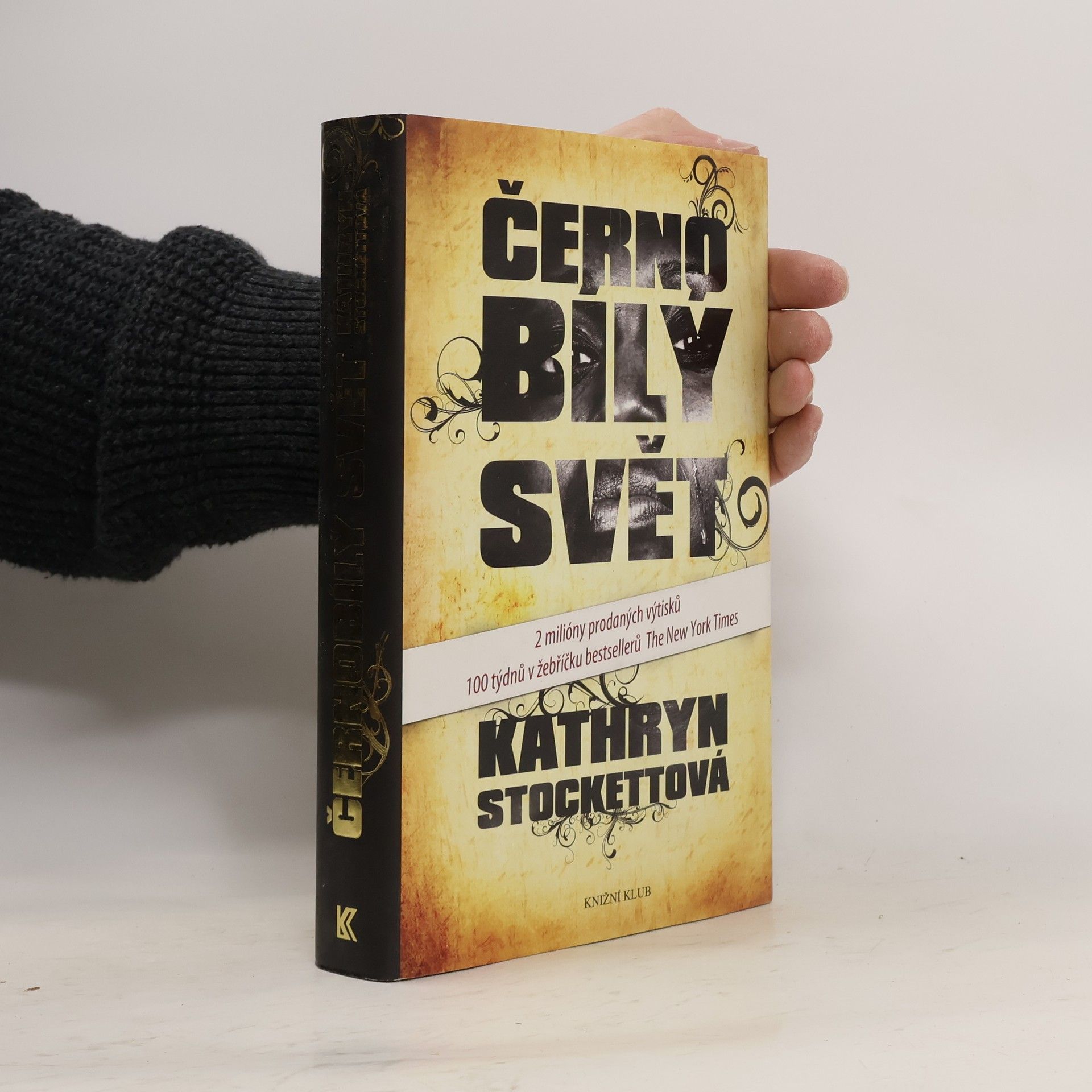 Kathryn Stockett Černobílý svět