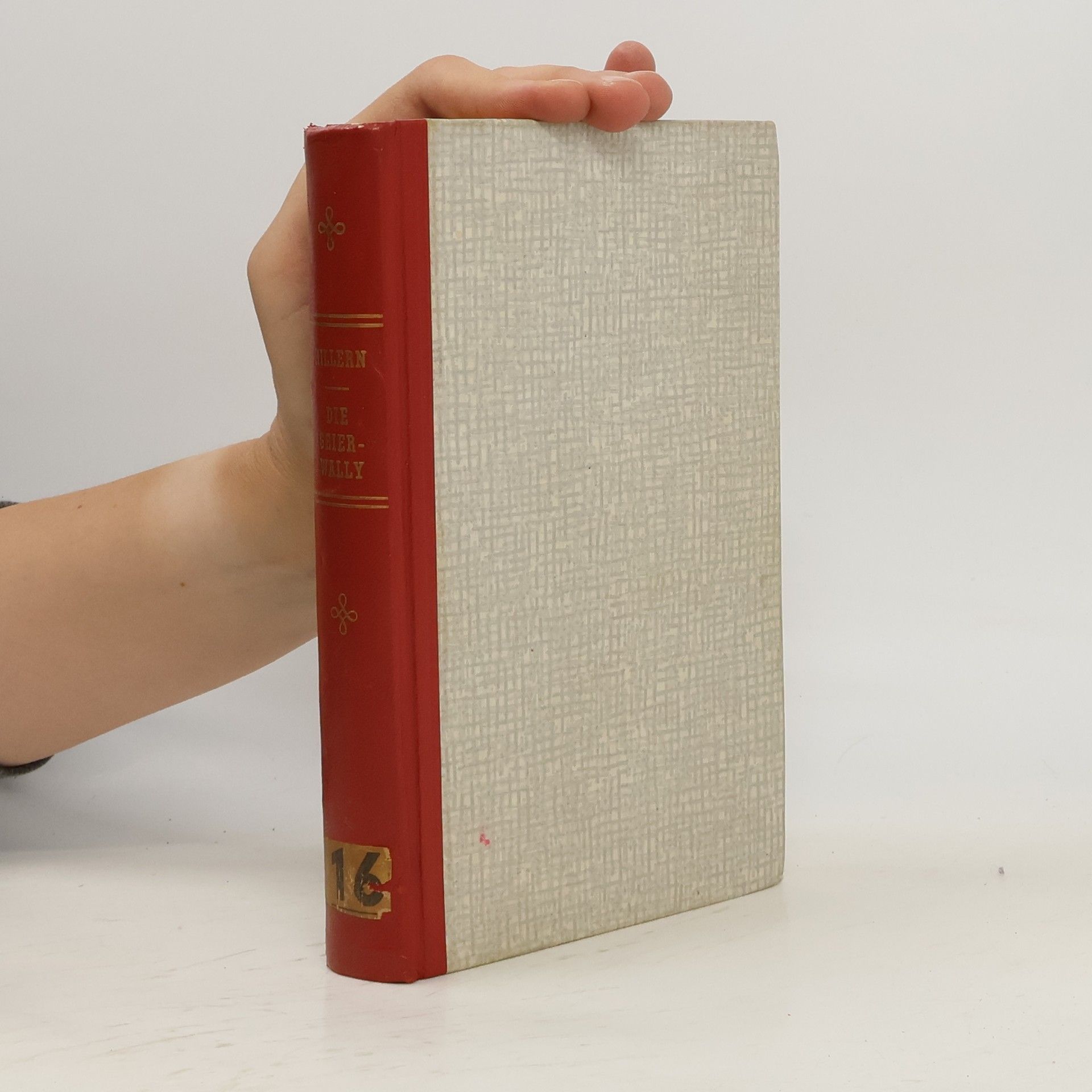 Wilhelmine von Hillern Die Geier - Wally