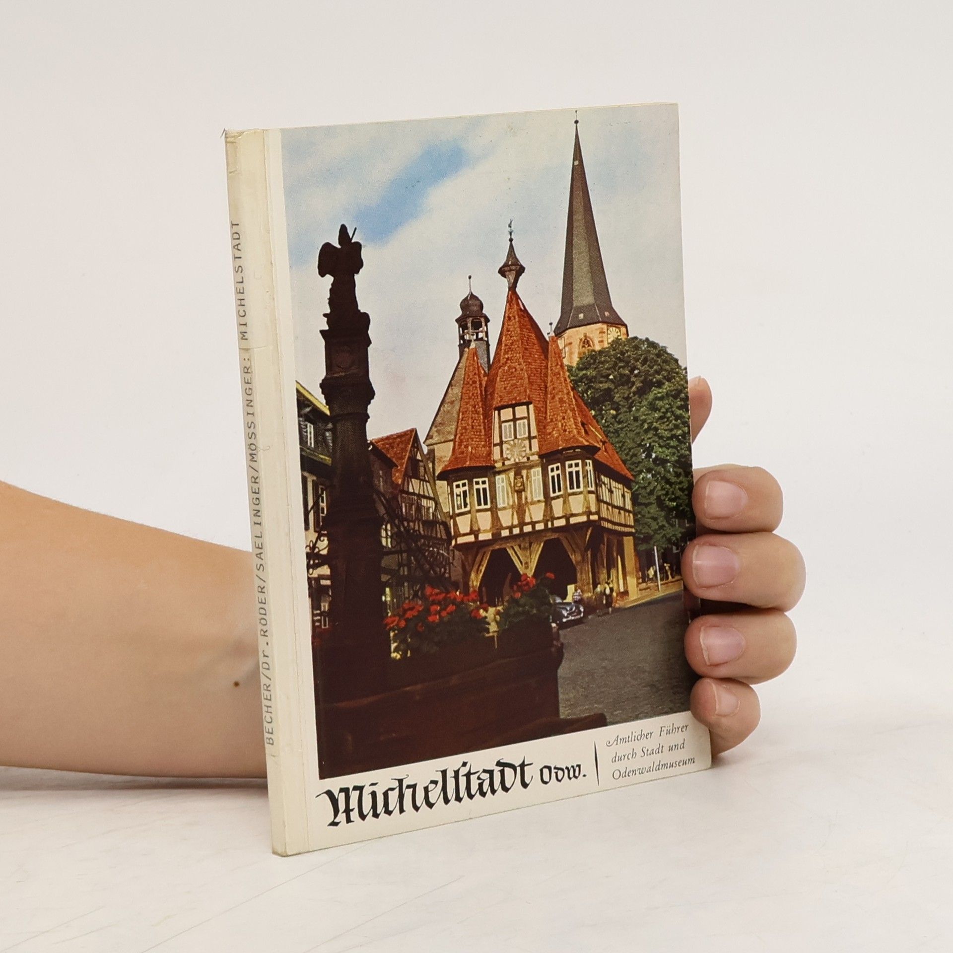 Collectif d'auteurs Michelstadt