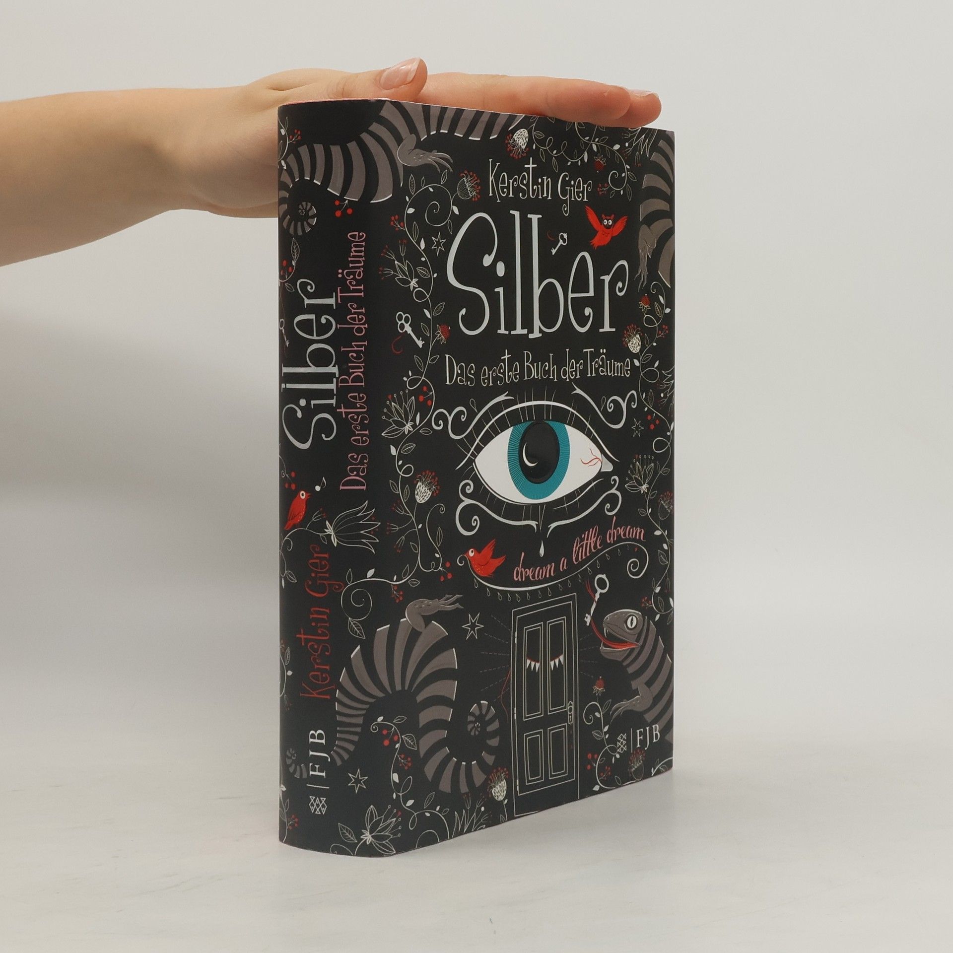 Kerstin Gier Silber. Das erste Buch der Träume