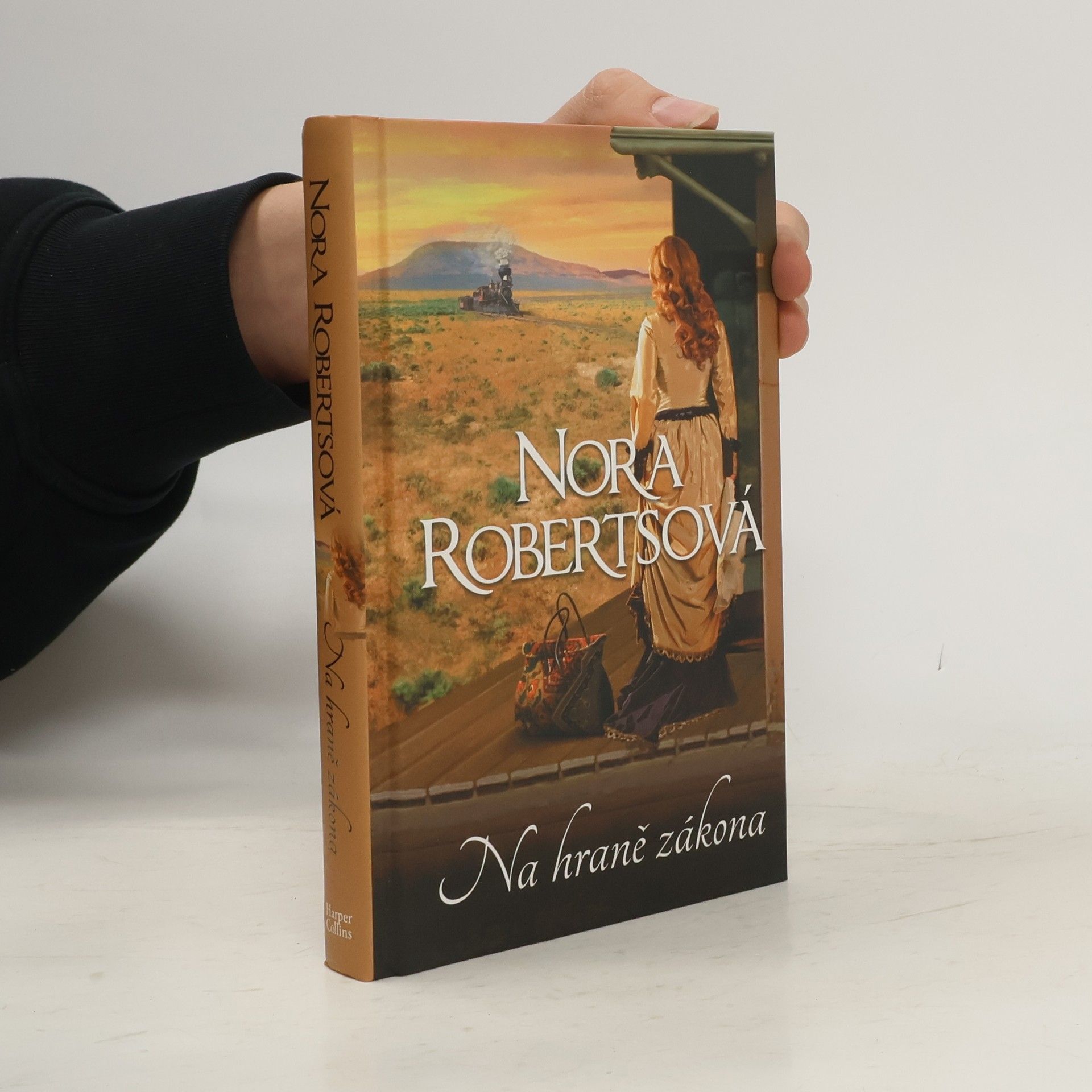 Nora Roberts Na hraně zákona