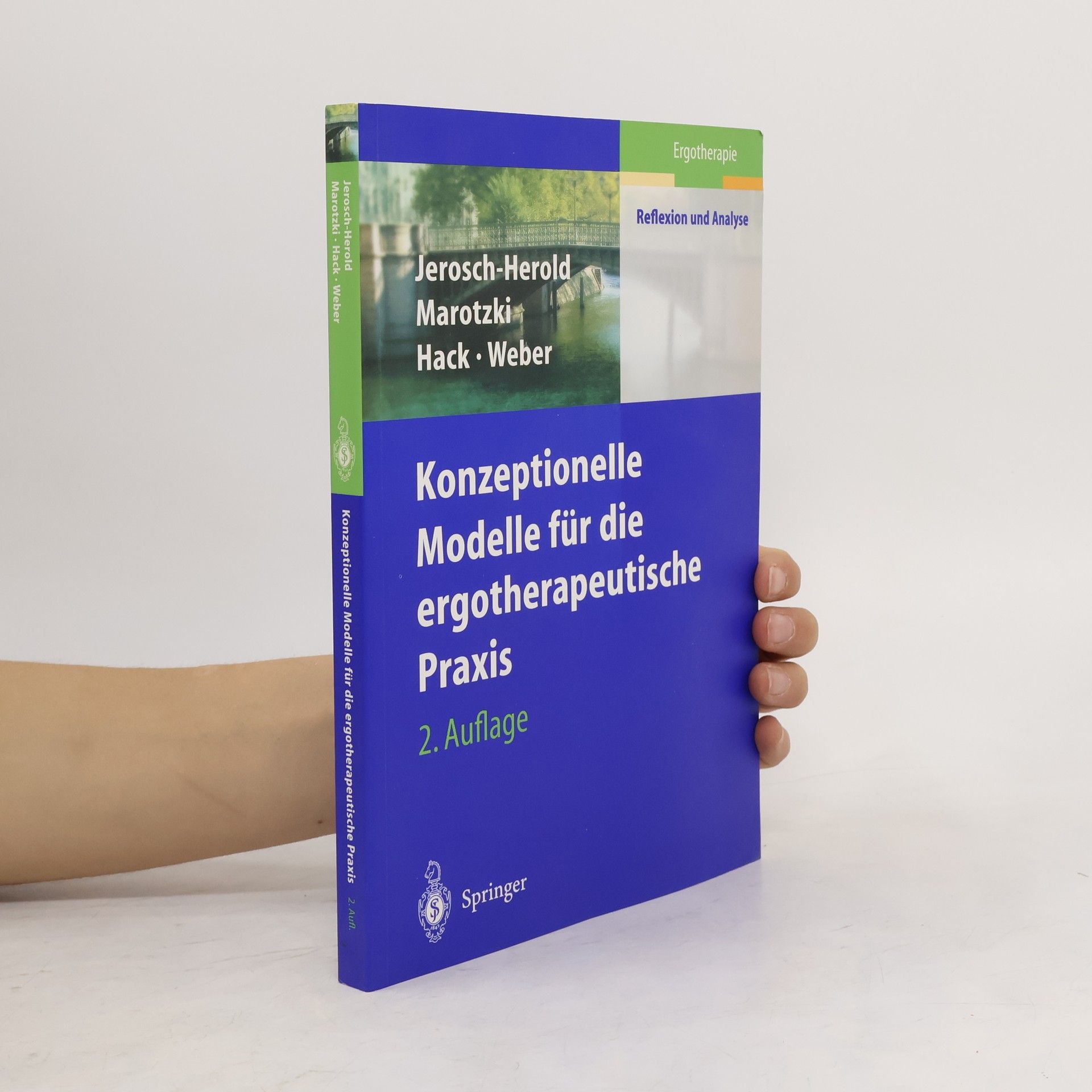Christina Jerosch Herold Konzeptionelle Modelle für die ergotherapeutische Praxis