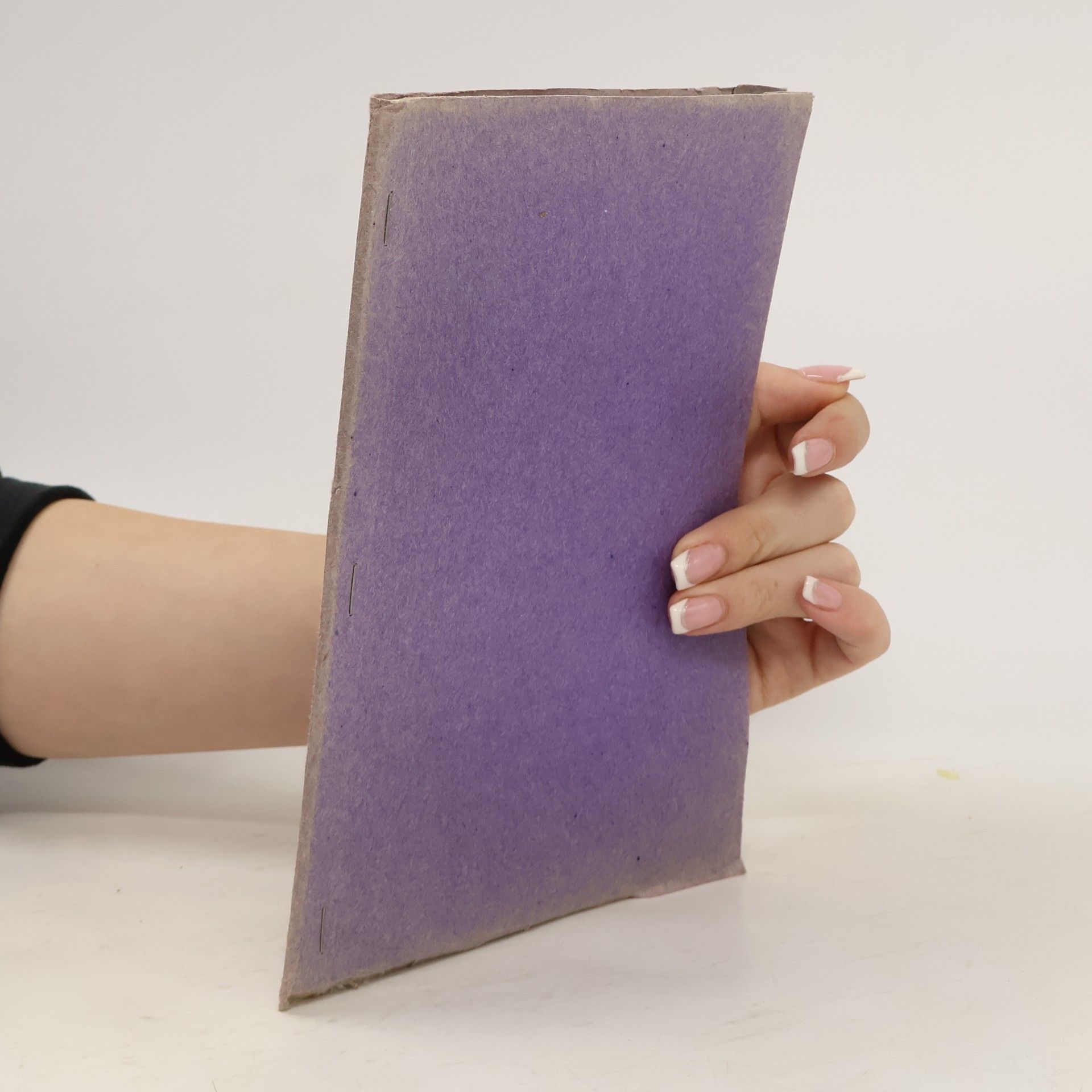 AA.VV. Sny sv. Jana Boska