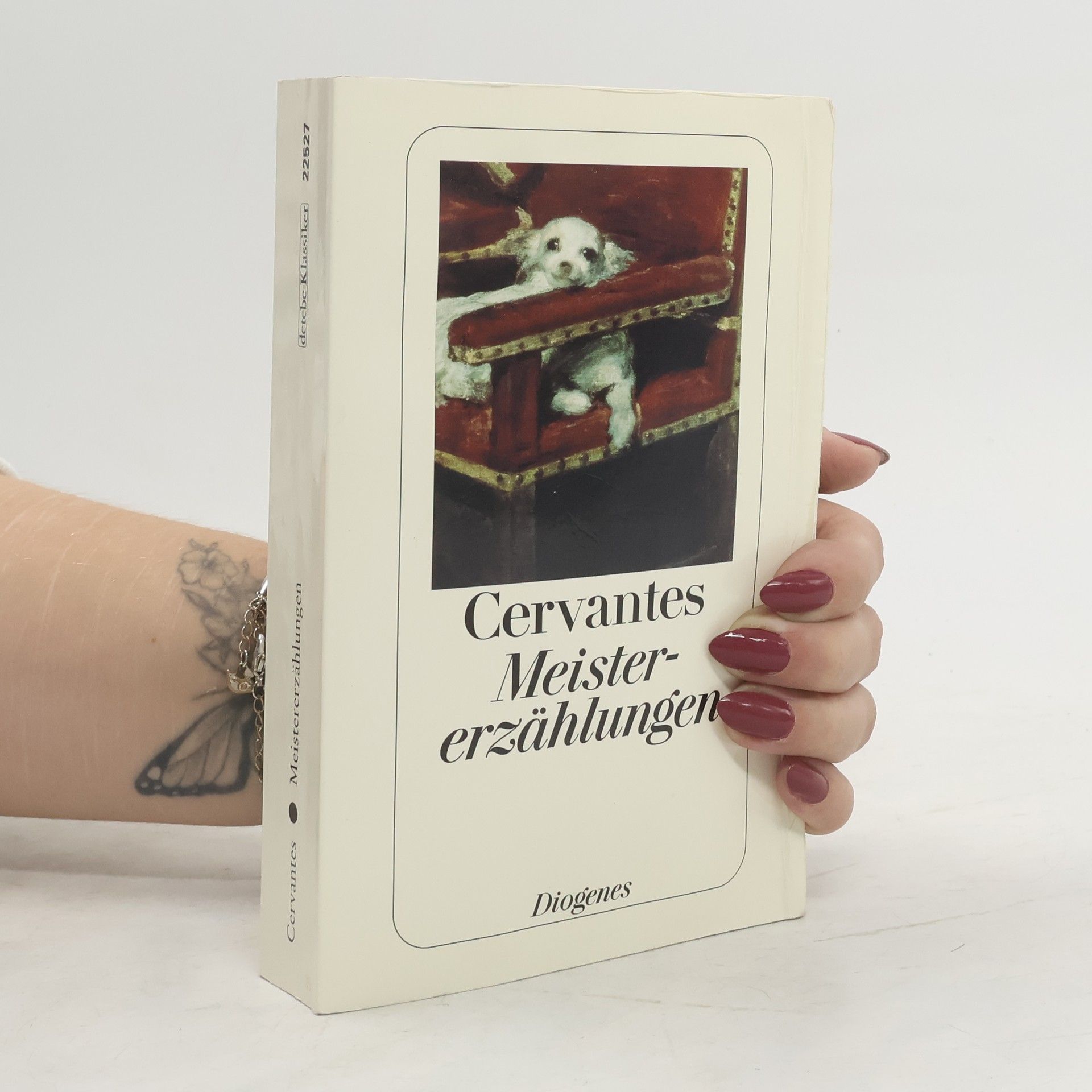 Miguel de Cervantes Saavedra Meister-erzählungen