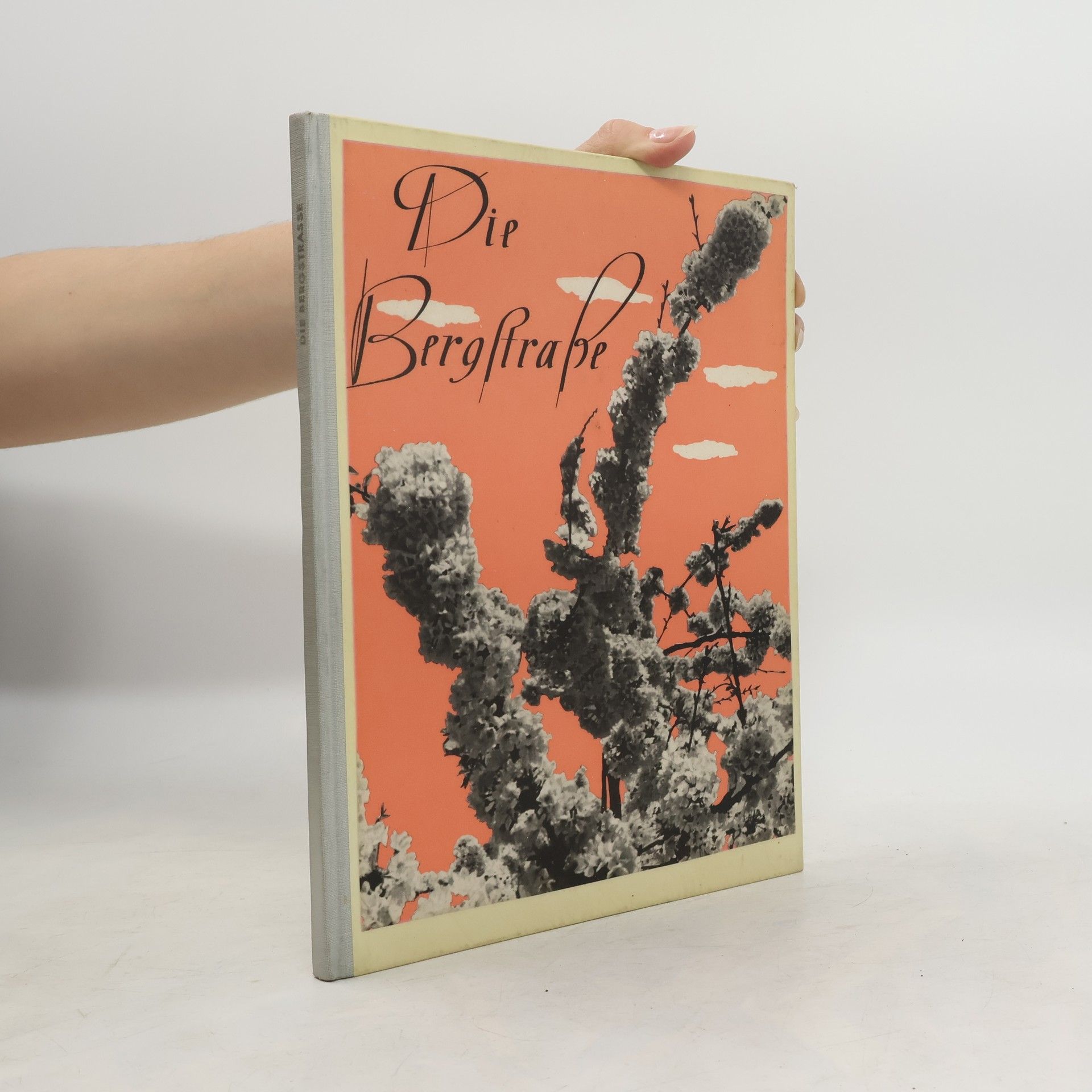 Collectif d'auteurs Die Bergstraße