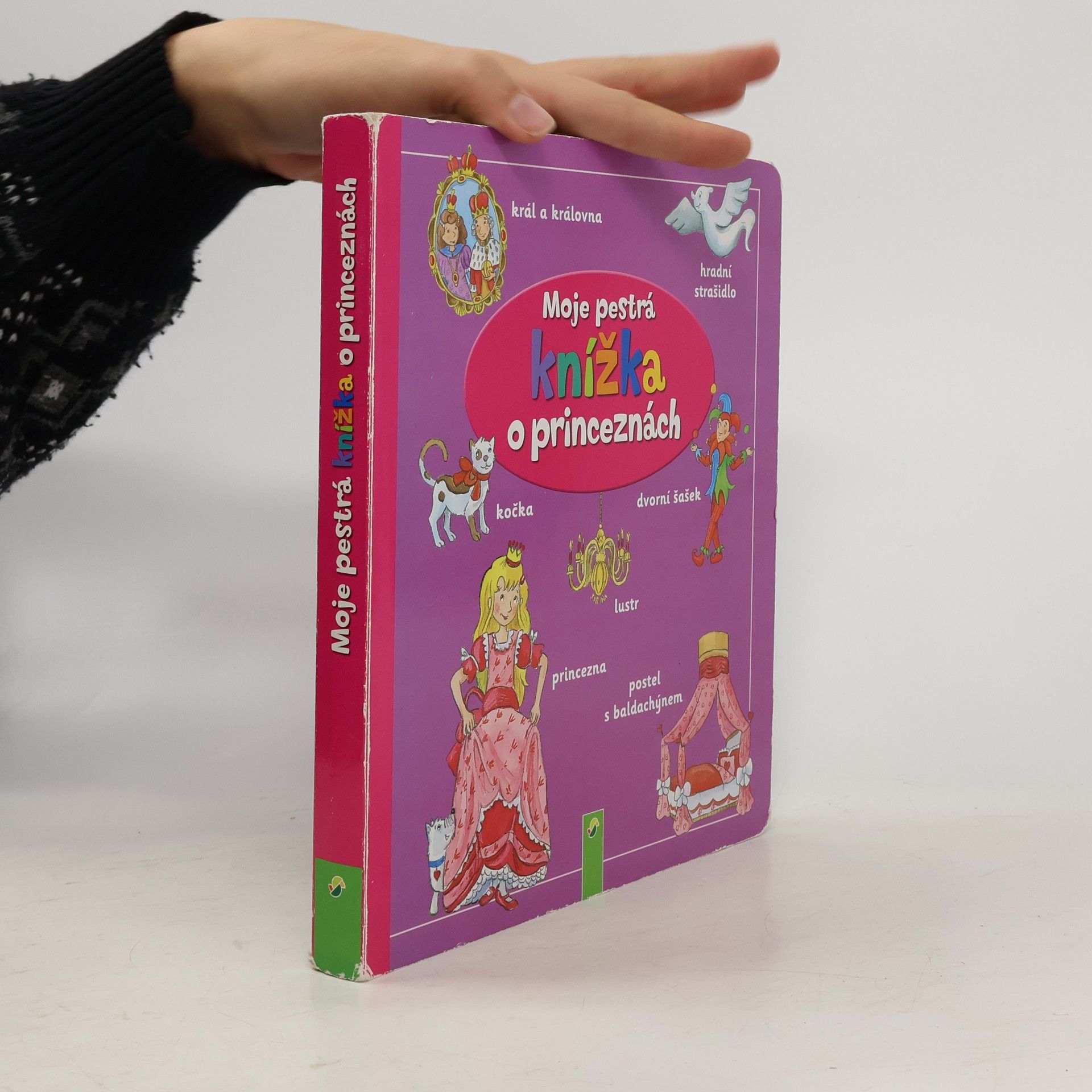 Moje pestrá knížka o princeznách