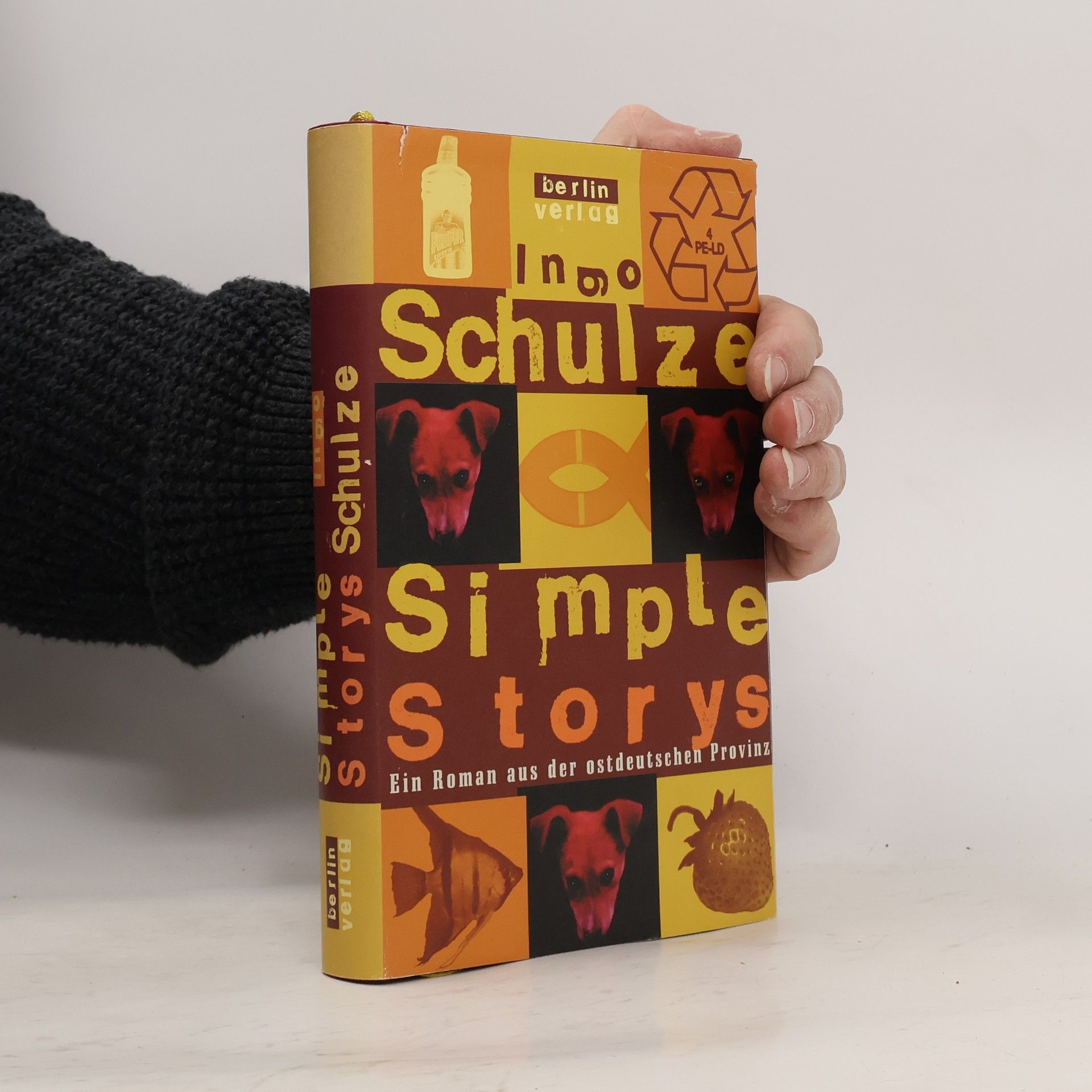 Ingo Schulze Simple Storys