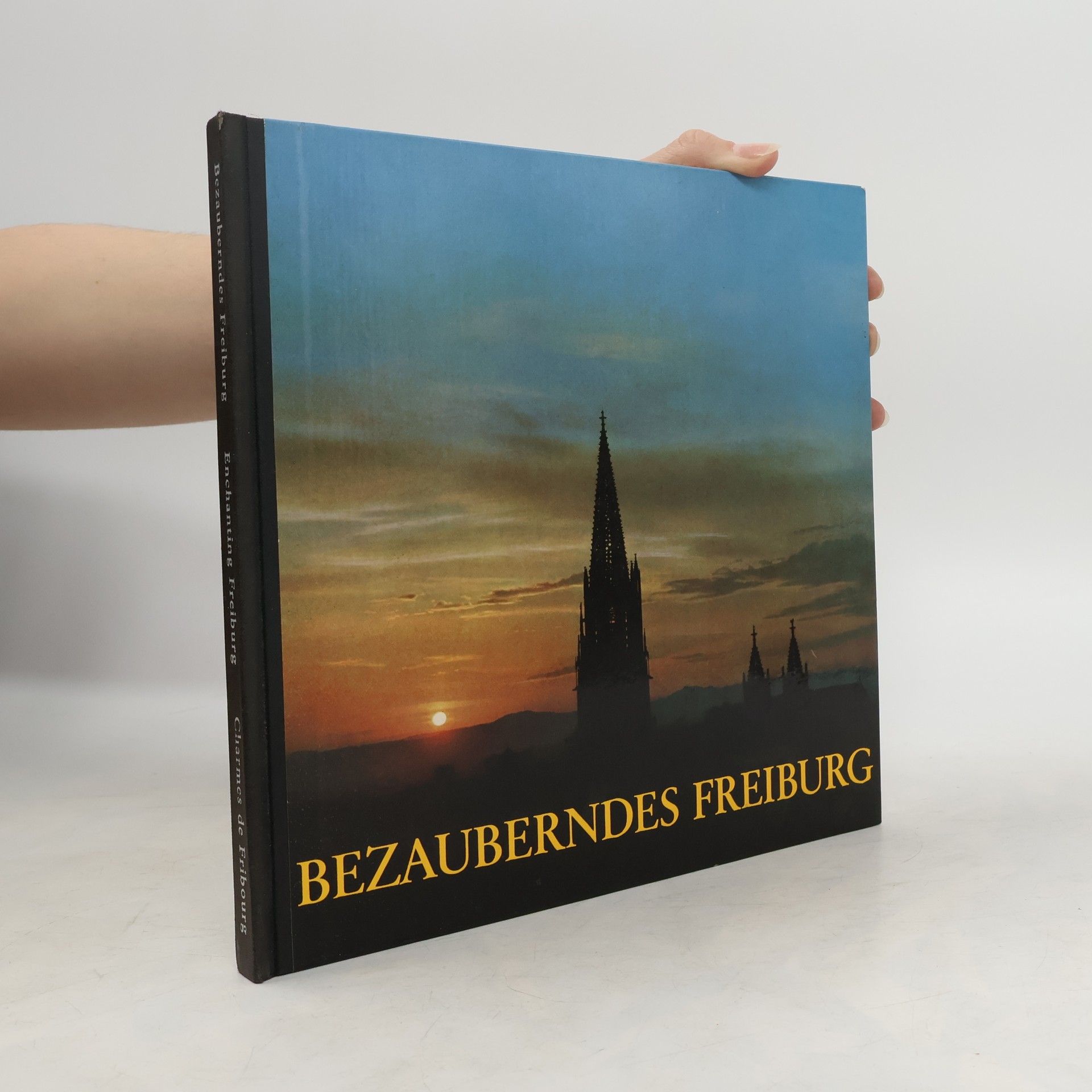 Autorenkollektiv Bezauberndes Freiburg