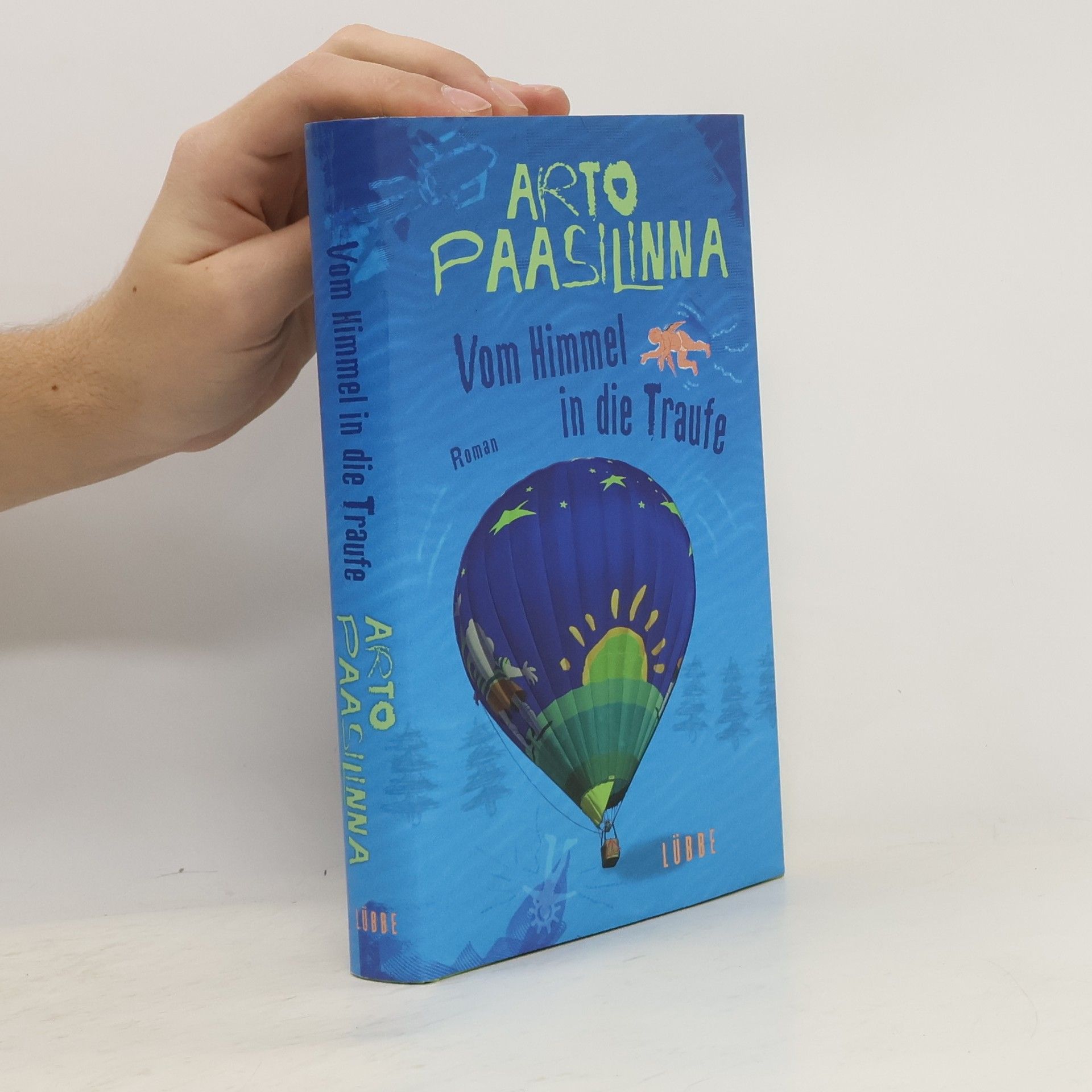 Arto Paasilinna Vom Himmel in die Traufe