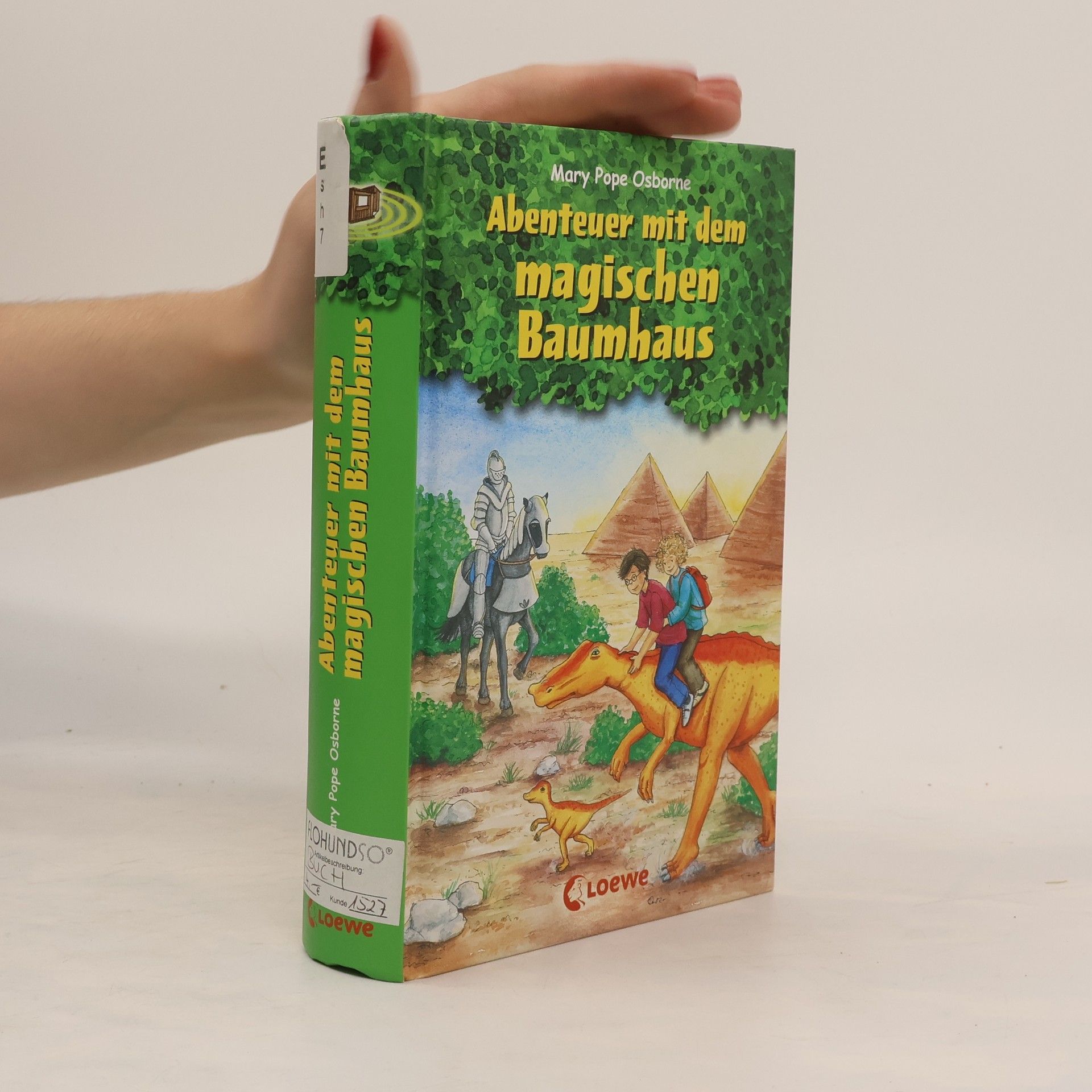 Mary Pope Osborne Abenteuer mit dem magischen Baumhaus