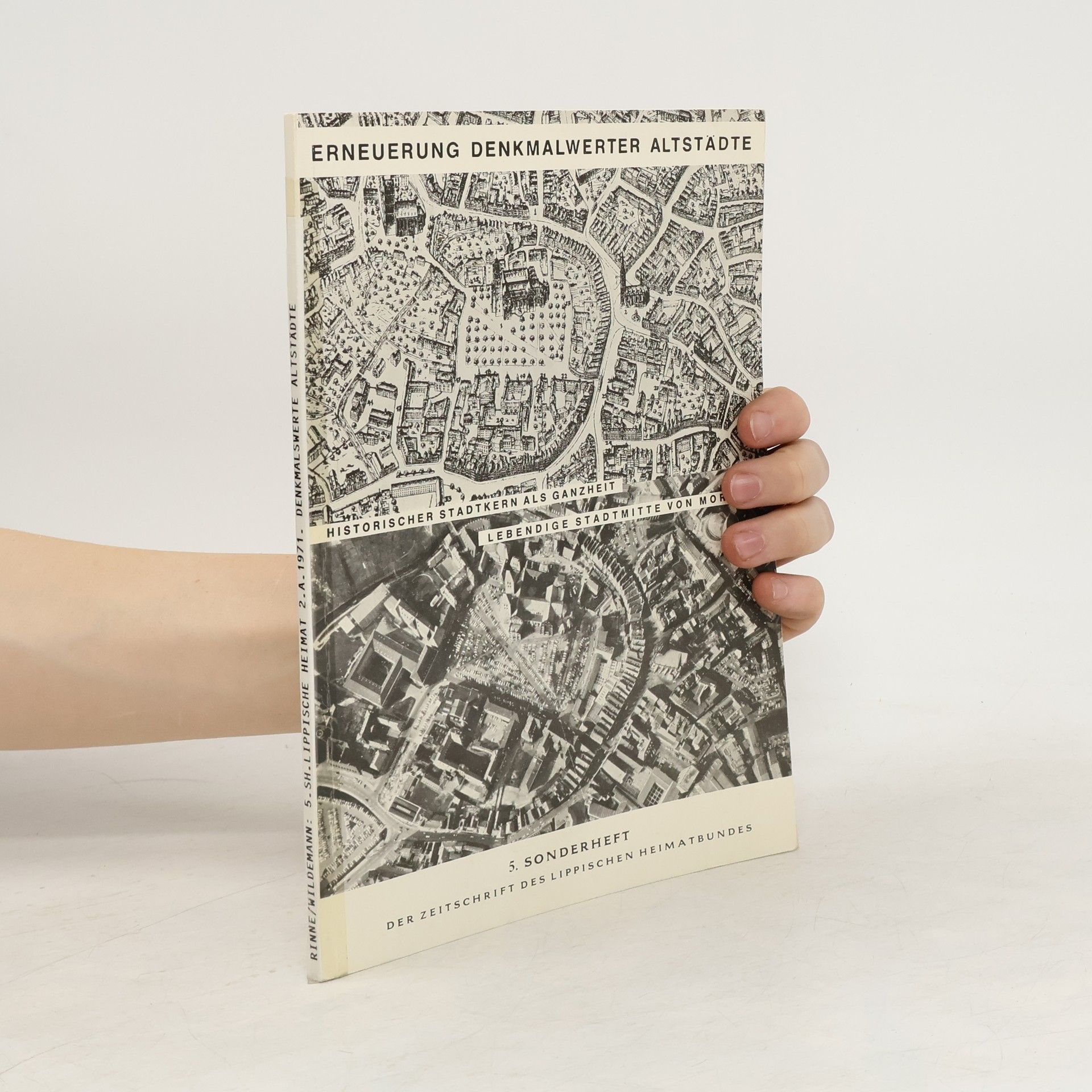 Diether Wildeman Erneuerung denkmalwerter Altstädte