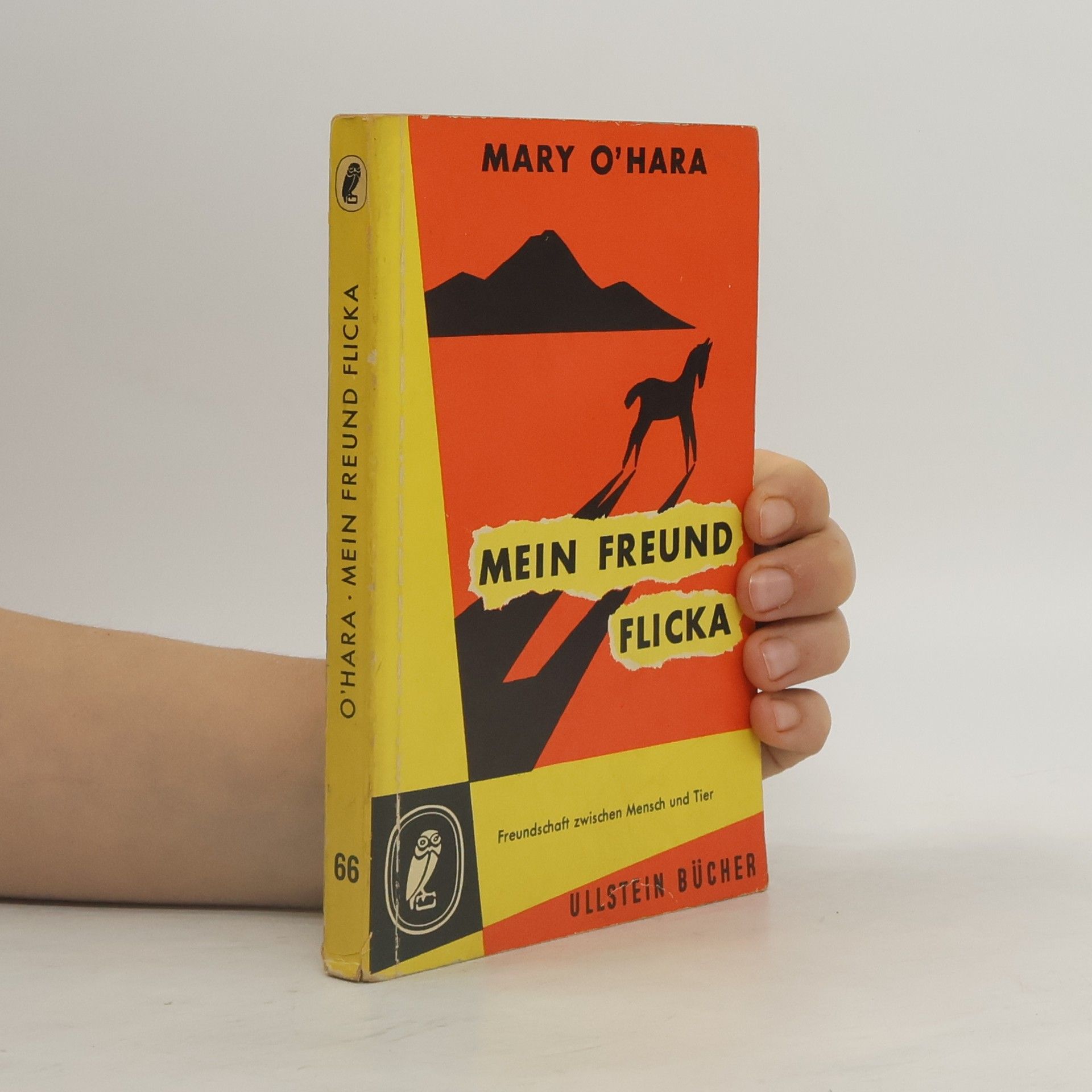 Mary O'Hara Mein Freund Flicka