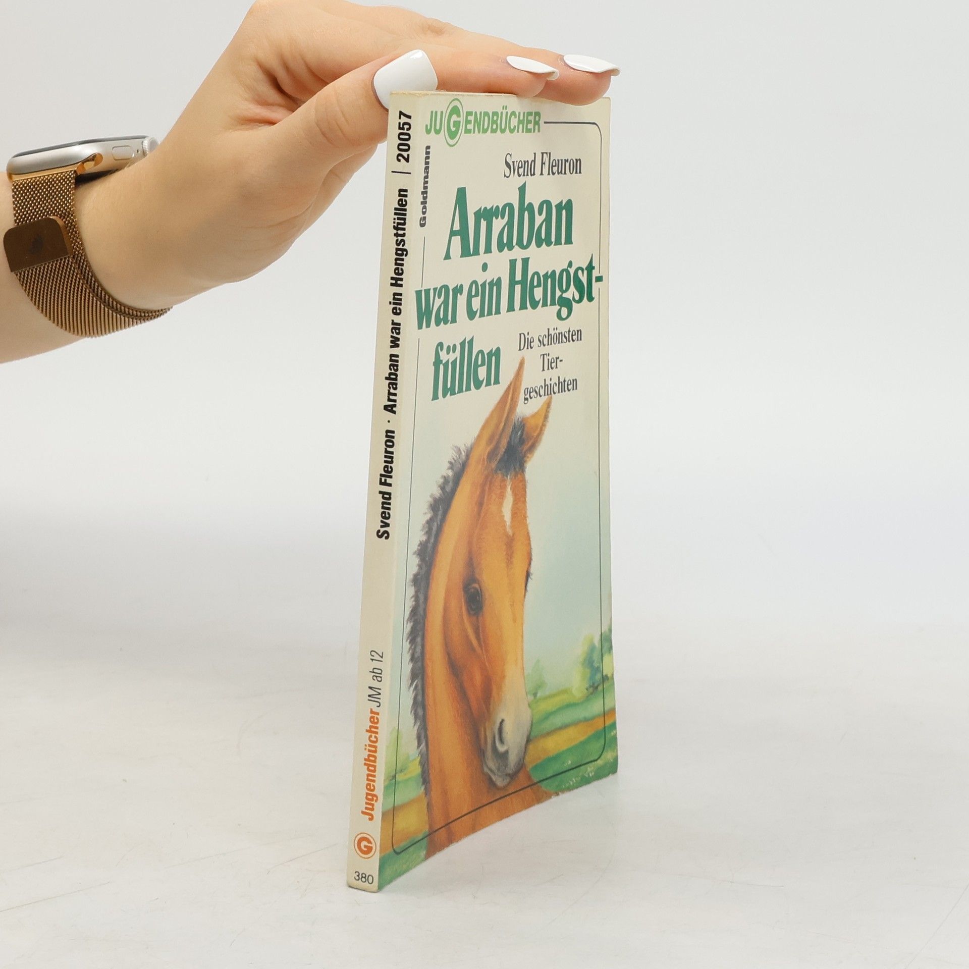 Arraban war ein Hengstfüllen