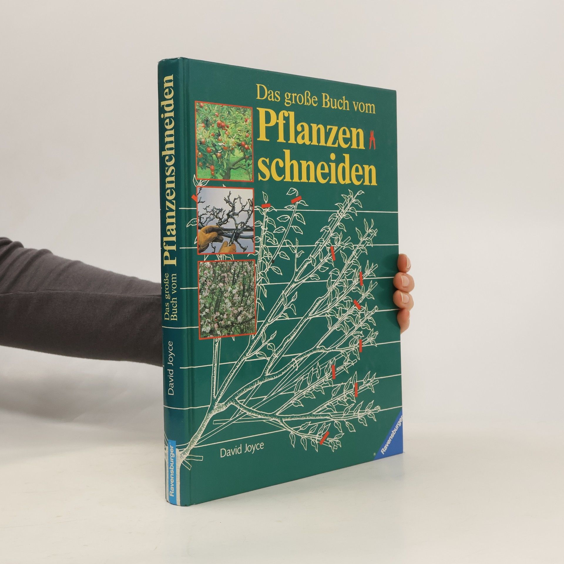 David Joyce Das grosse Buch vom Pflanzenschneiden