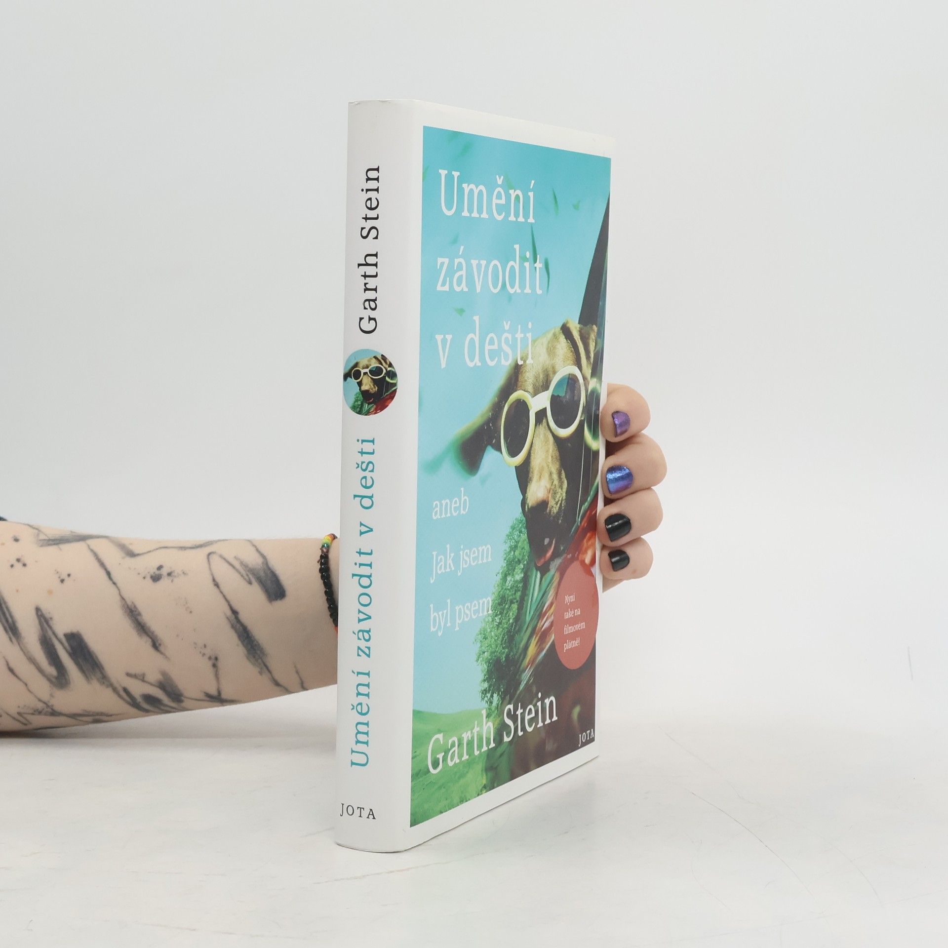 Garth Stein Umění závodit v dešti