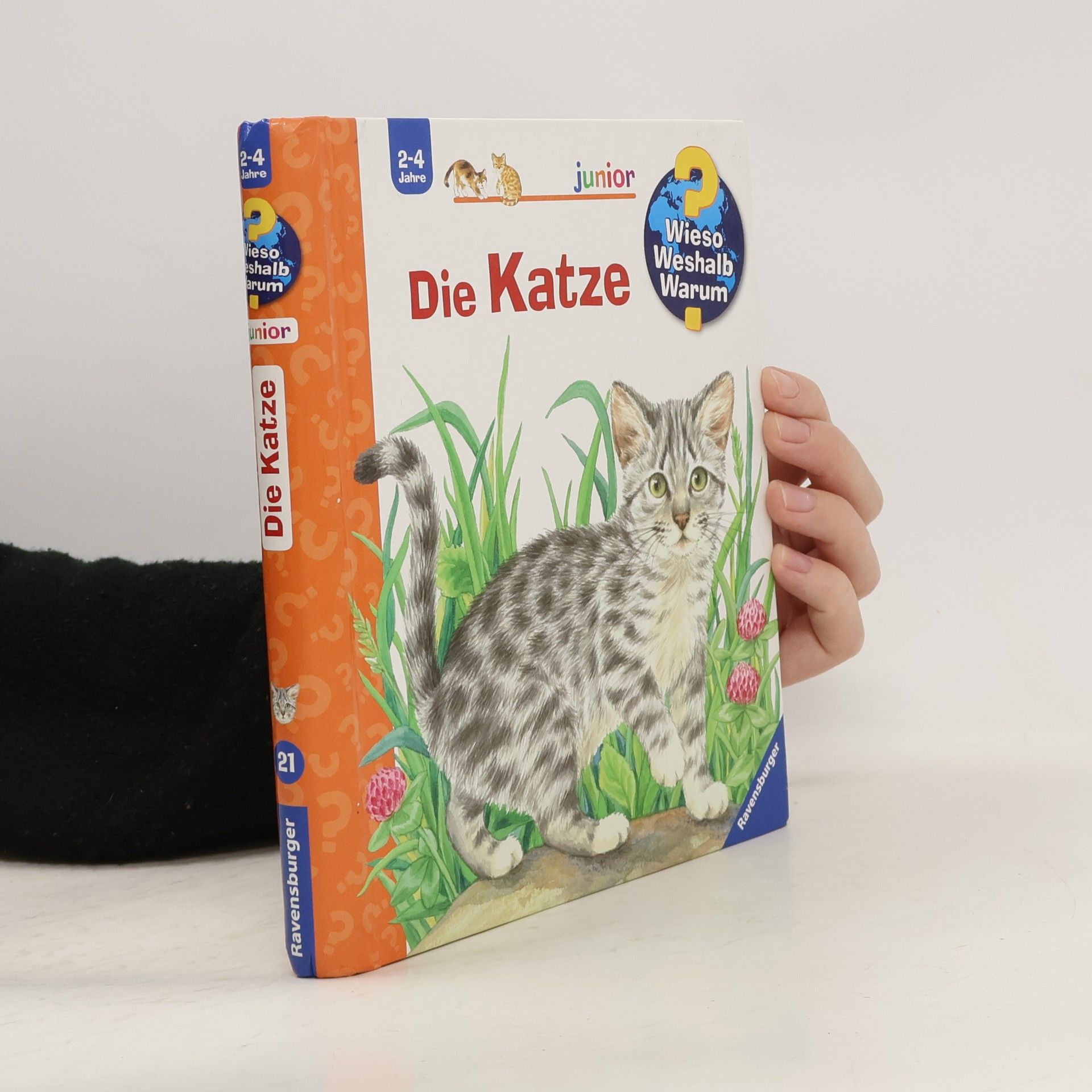 Die Katze