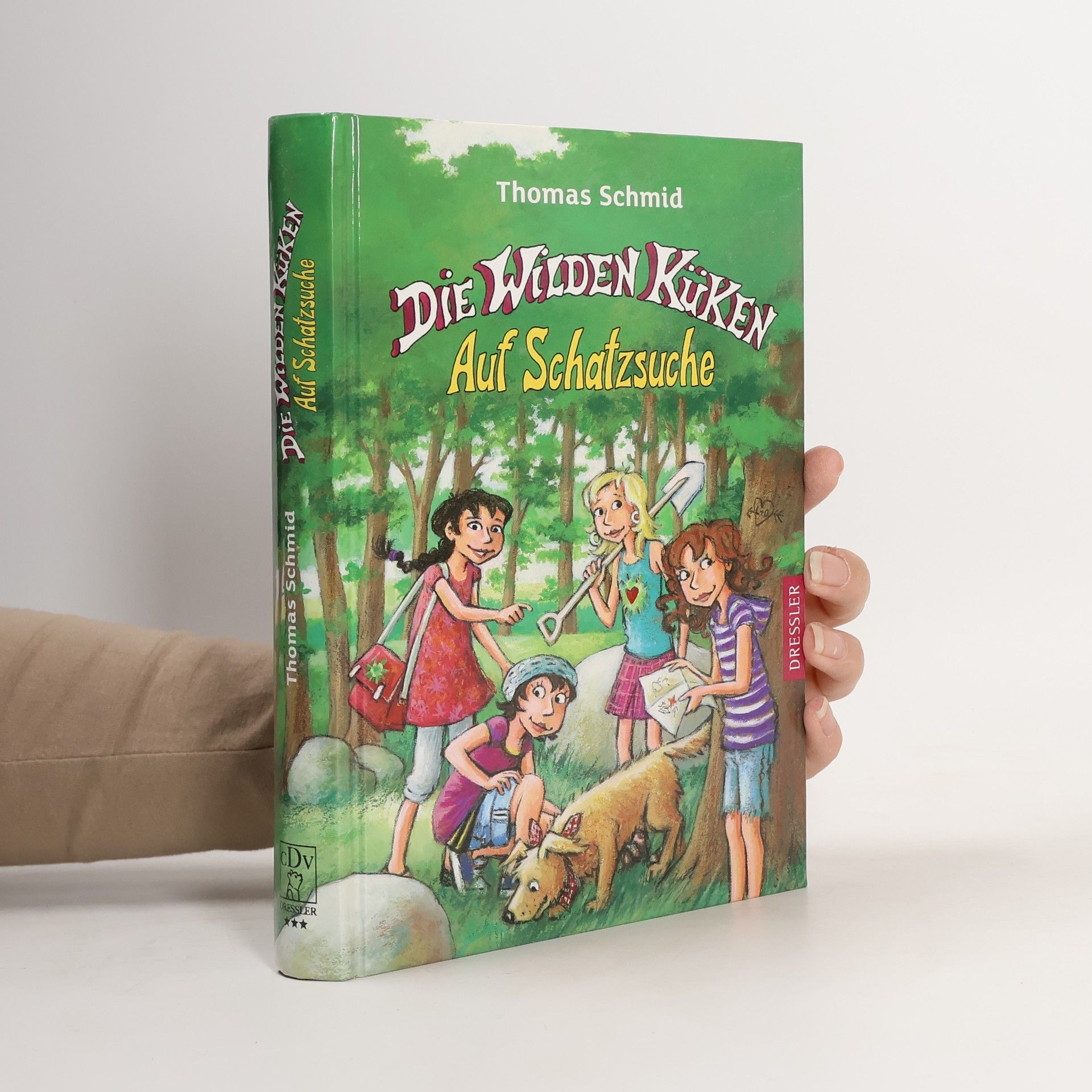 Thomas Schmid Die wilden Küken Auf Schatzsuche