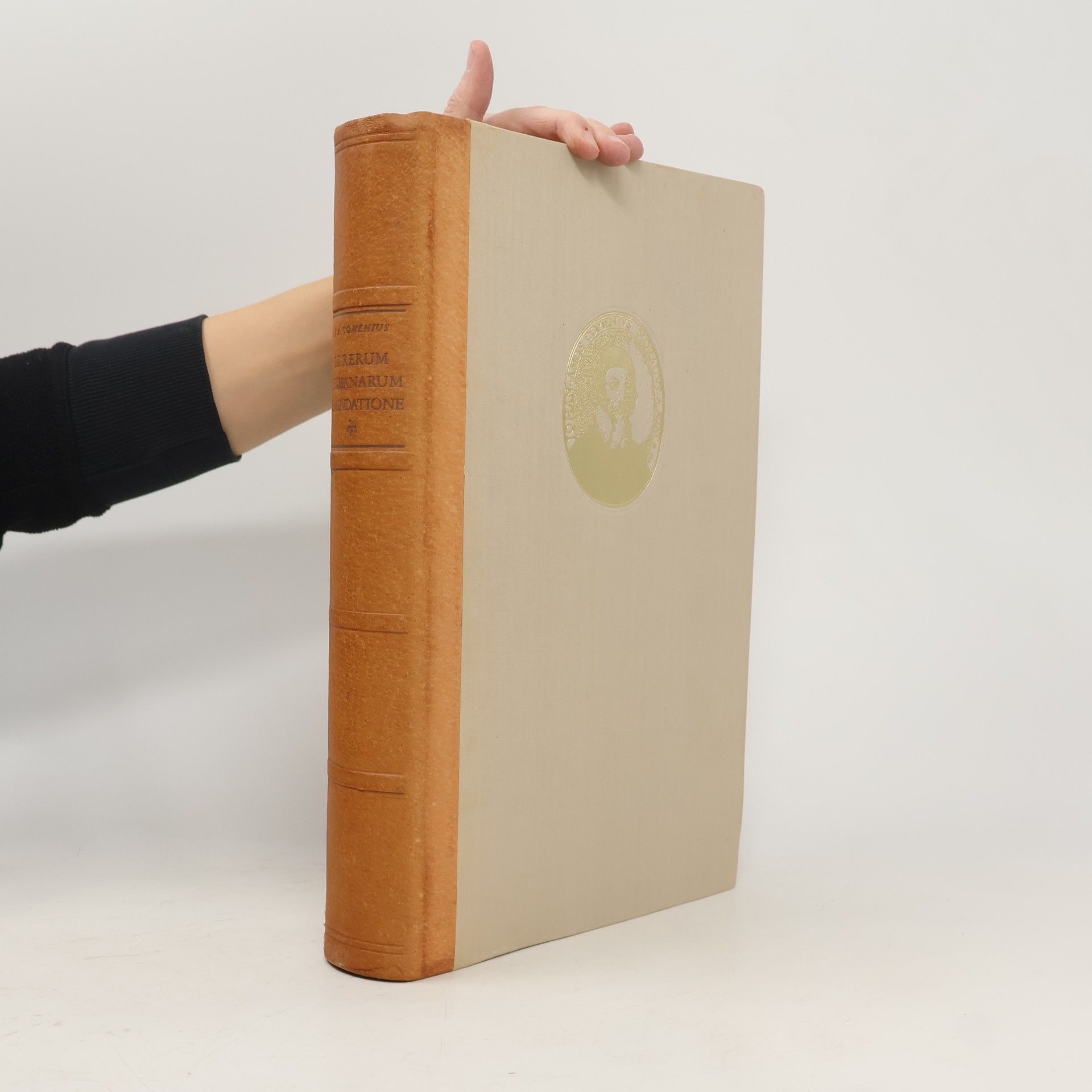 Jan Amos Komenský Der rerum humanarum emendatione. Consultation catholica II.