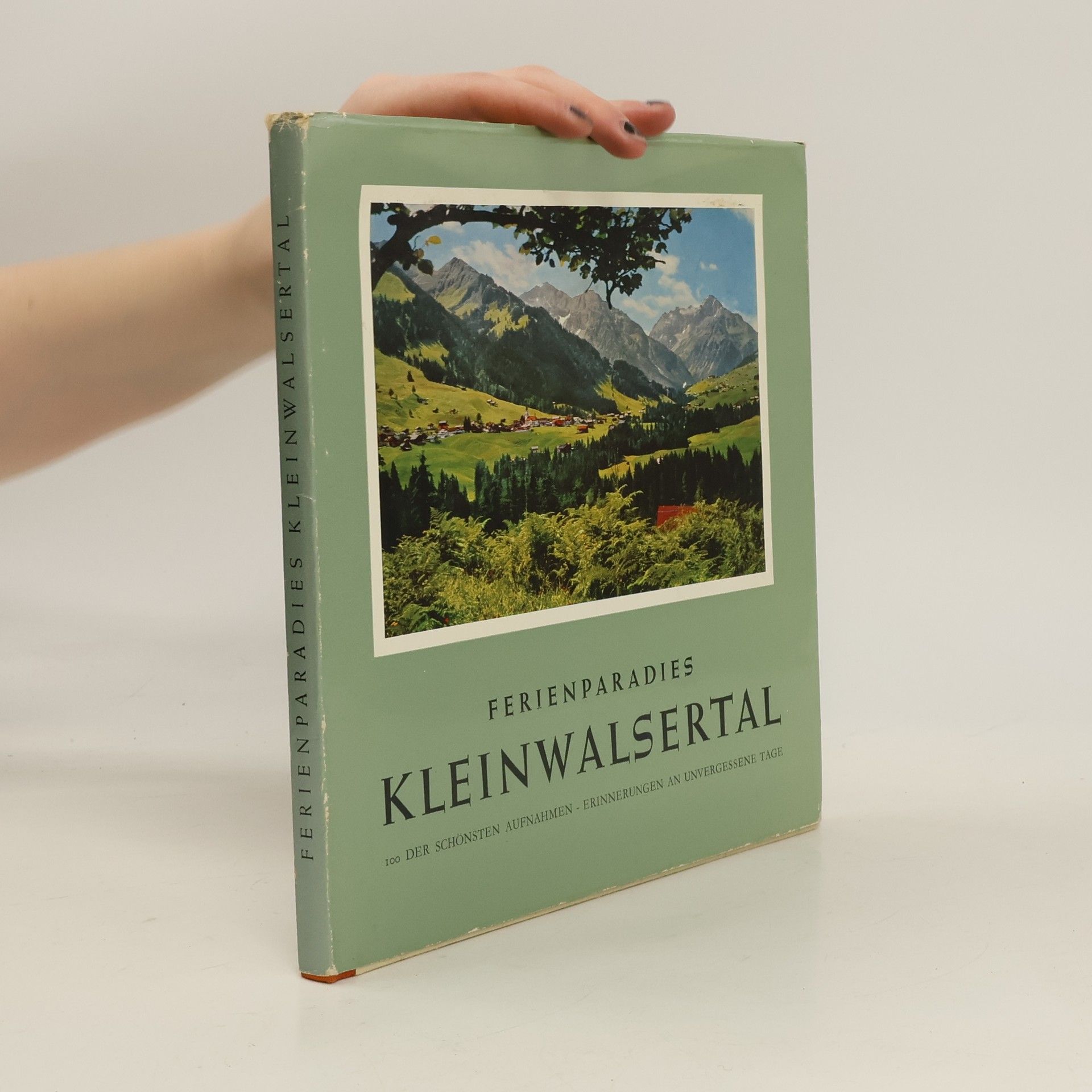 AA.VV. Ferienparadies Kleinwalsertal