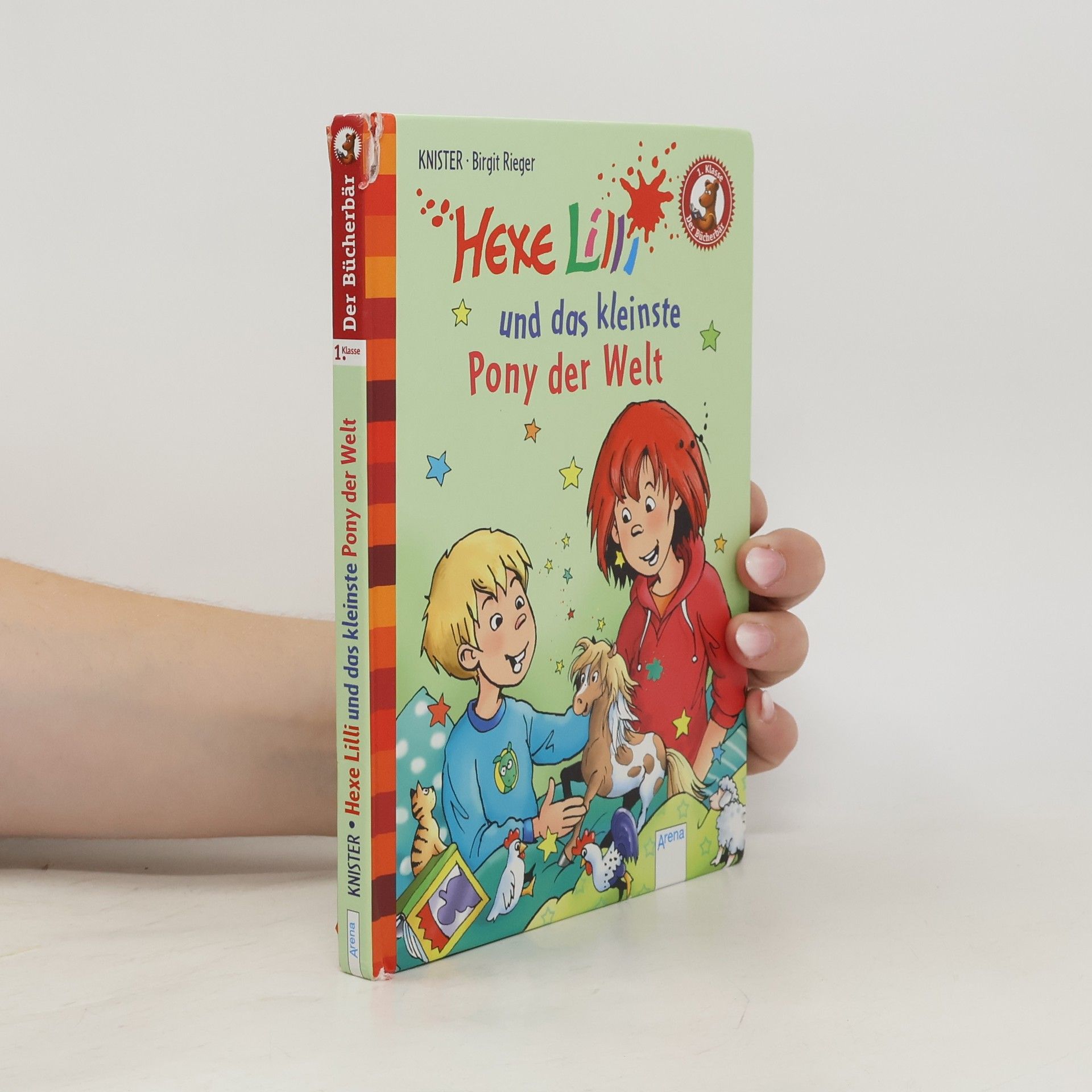 Hexe Lilli und das kleinste Pony der Welt