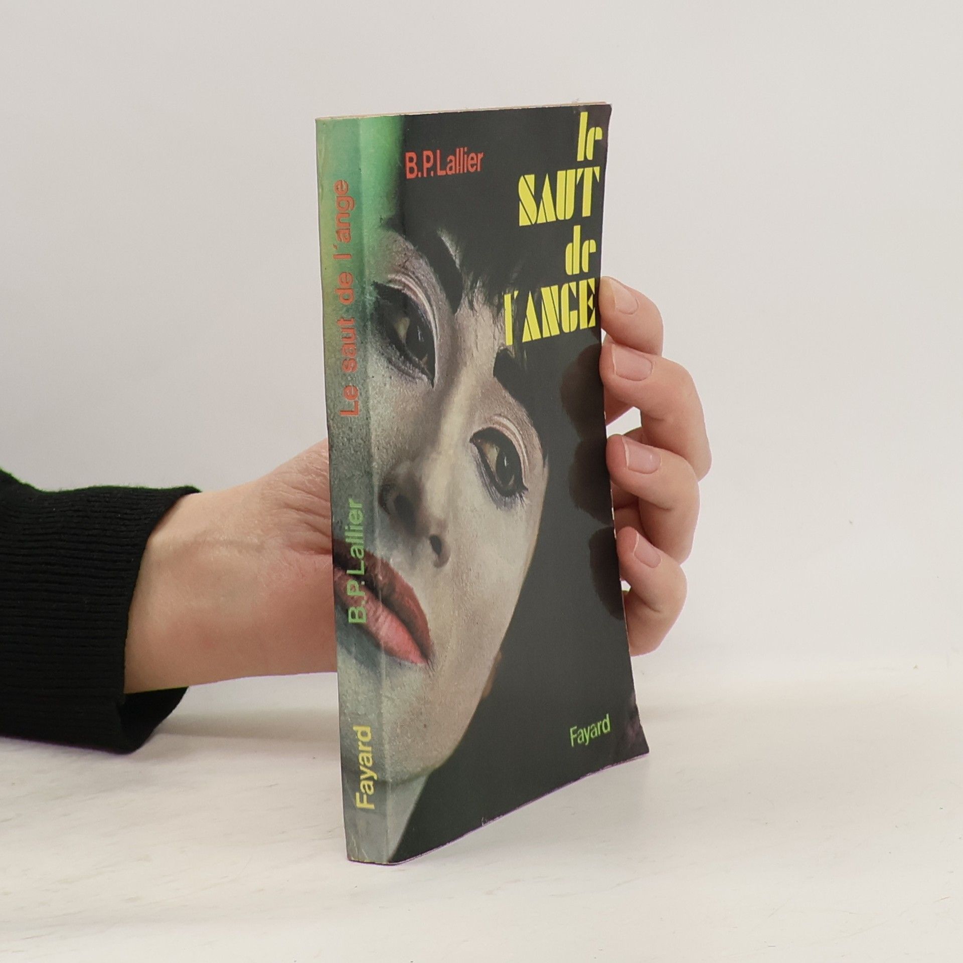 Blandine P. Martin Le saut de l'ange