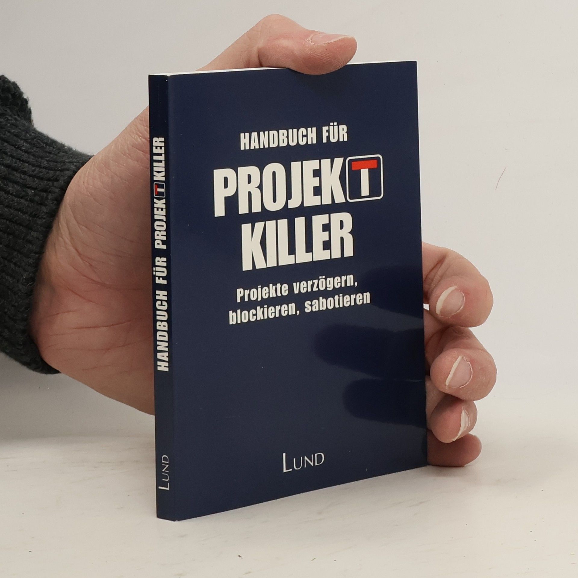 Lena Börjeson Handbuch für Projektkiller