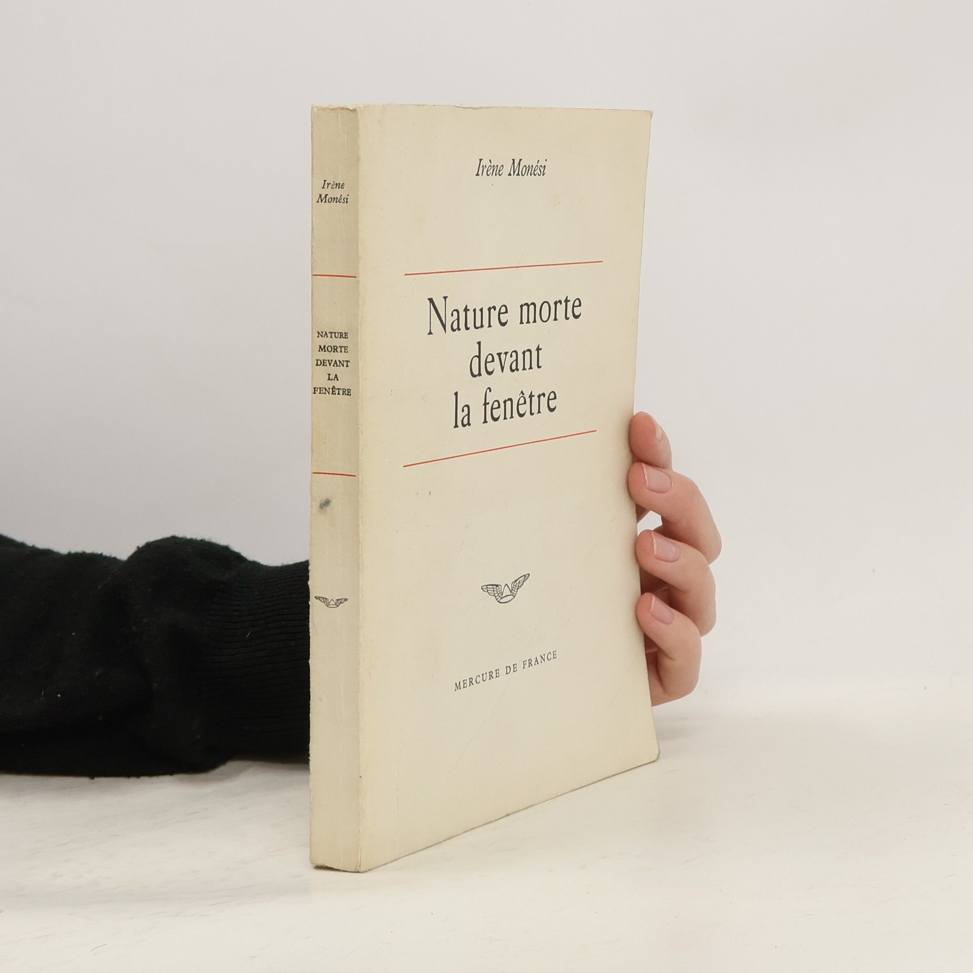 Irene Monesi Nature morte devant la fenêtre