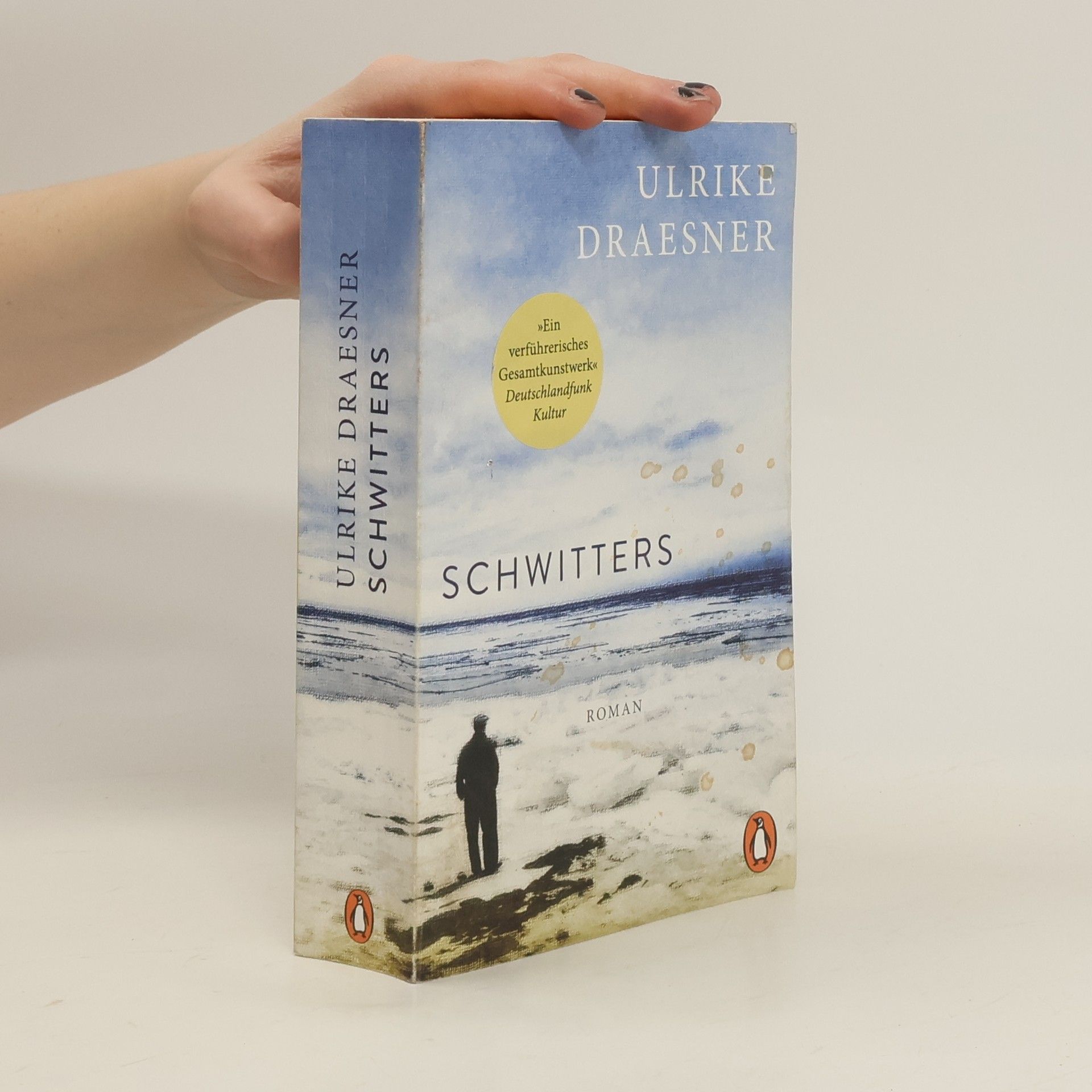 Ulrike Draesner Schwitters