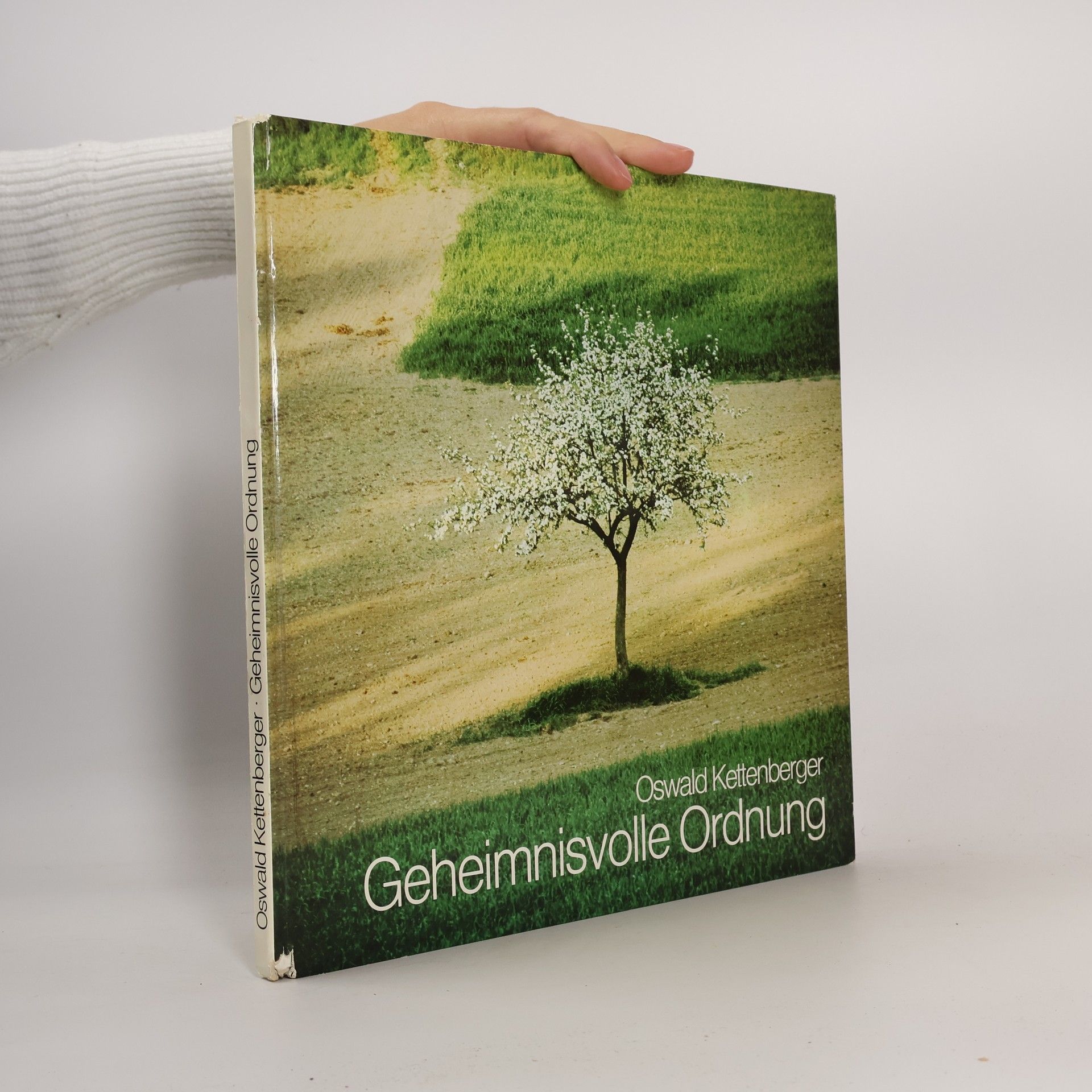 Oswald Kettenberger Geheimnisvolle ordung