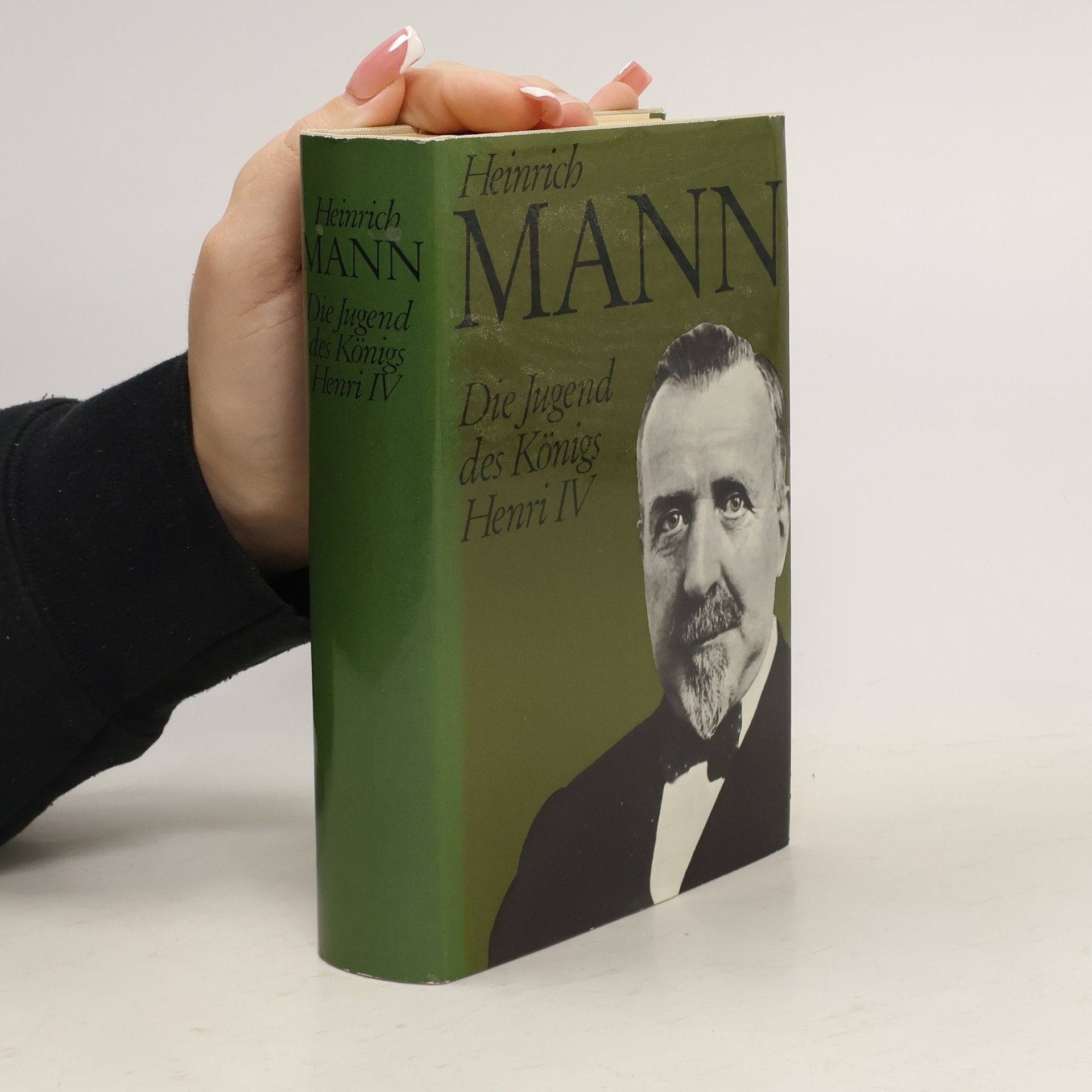 Heinrich Mann Die Jugend des Königs Henri IV