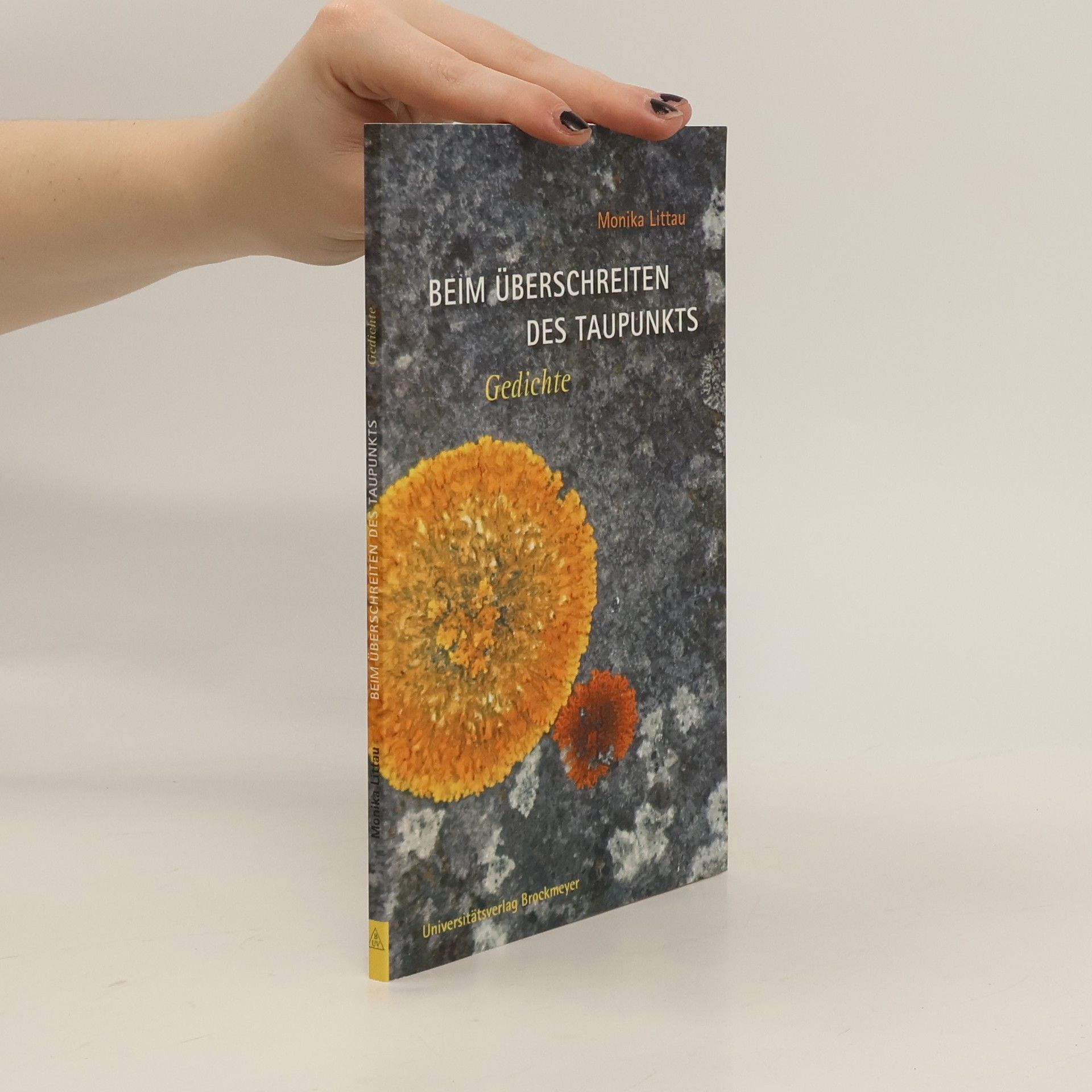 Beim Überschreiten des Taupunkts