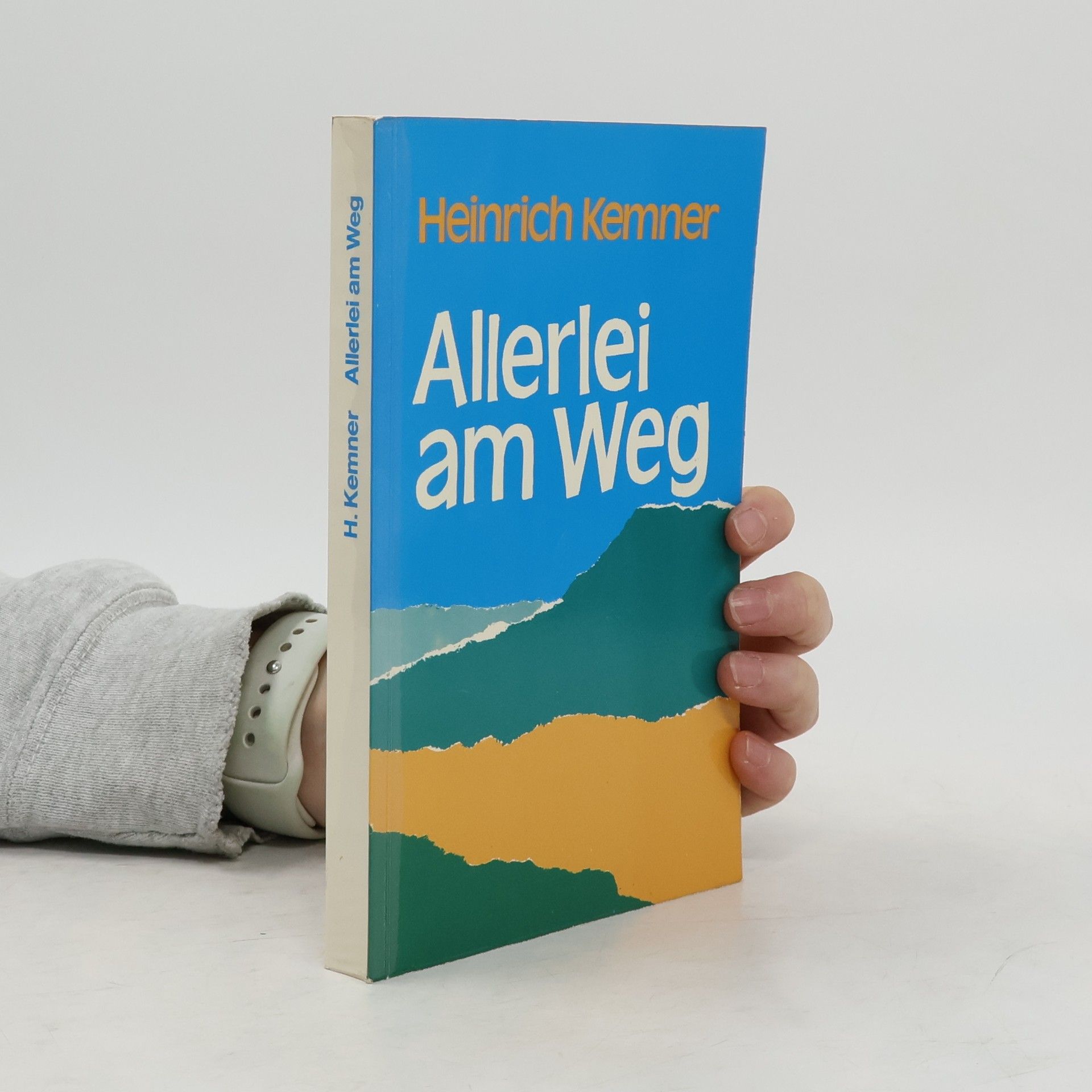 Heinrich Kemner Allerlei am Weg