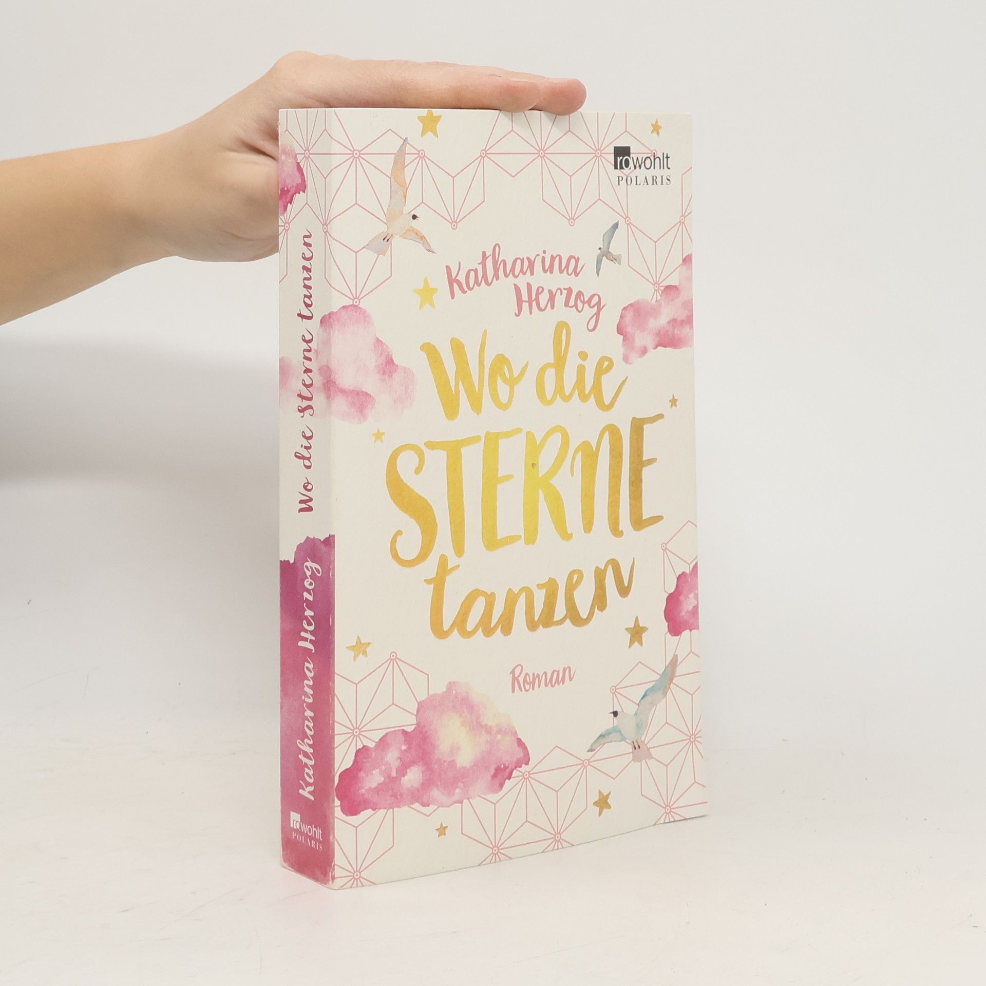 Irene-Katharina Herzog Wo die Sterne tanzen