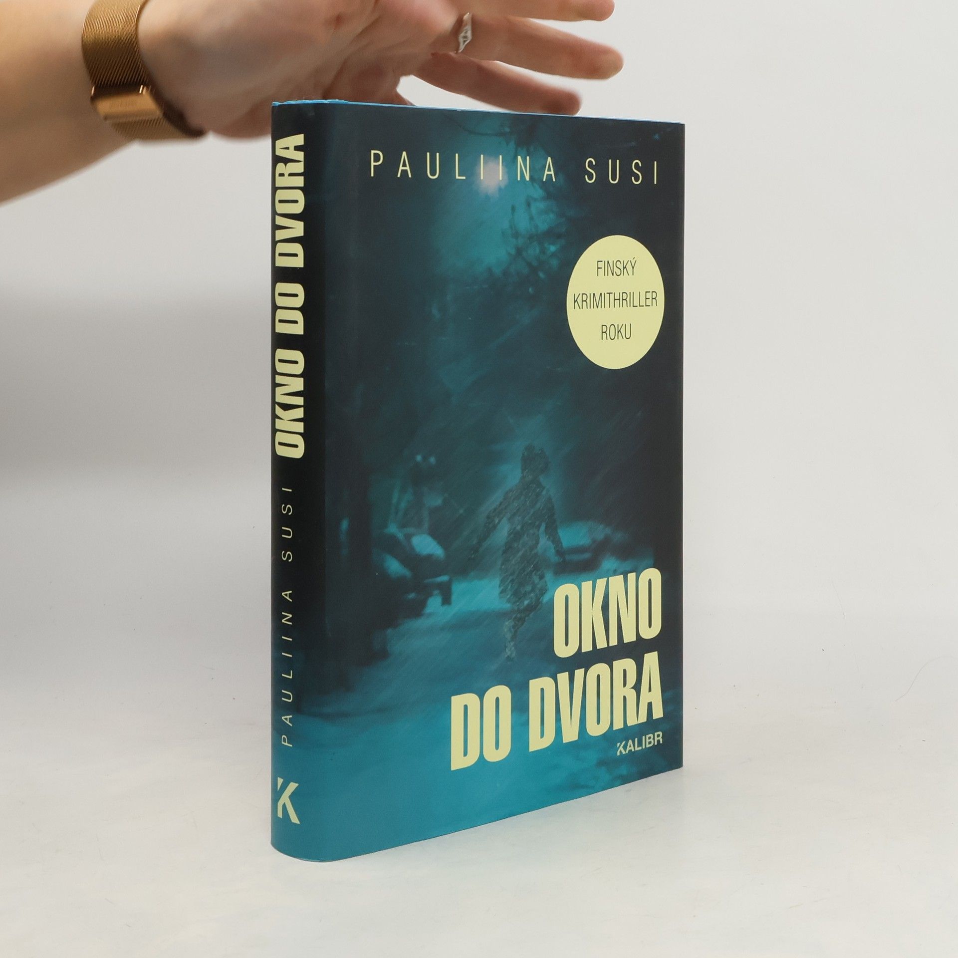 Pauliina Susi Okno do dvora