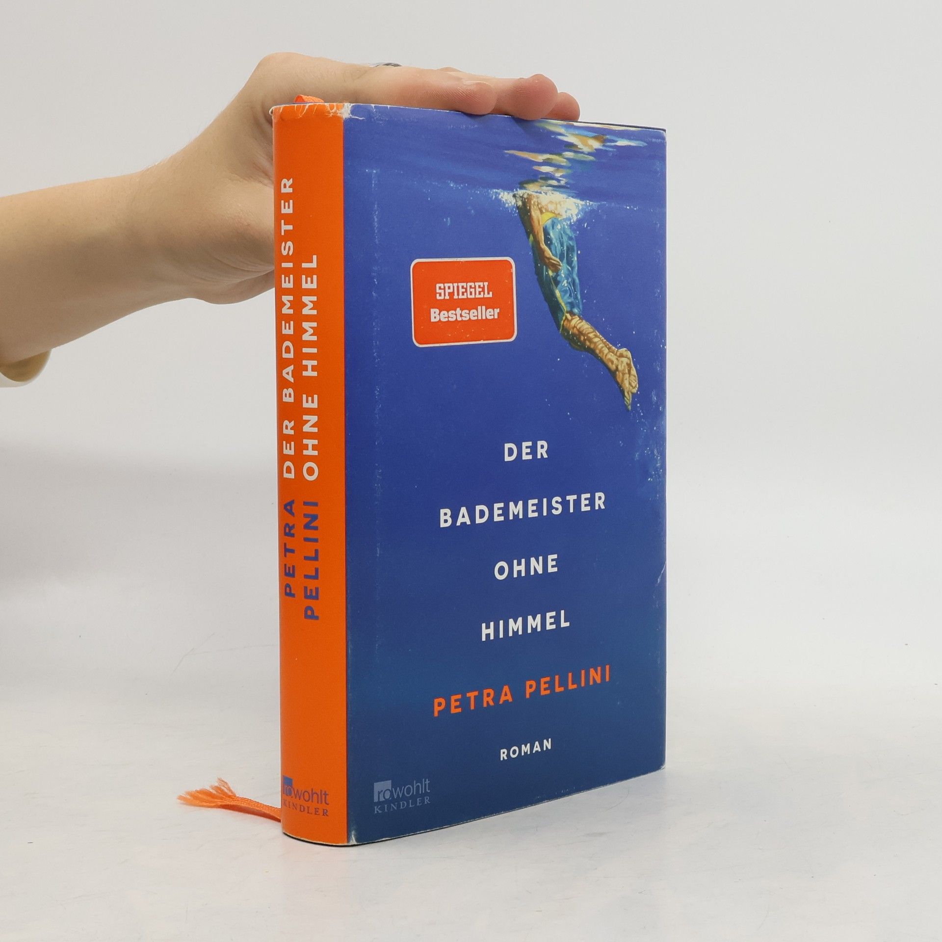 Petra Pellini Der Bademeister ohne Himmel