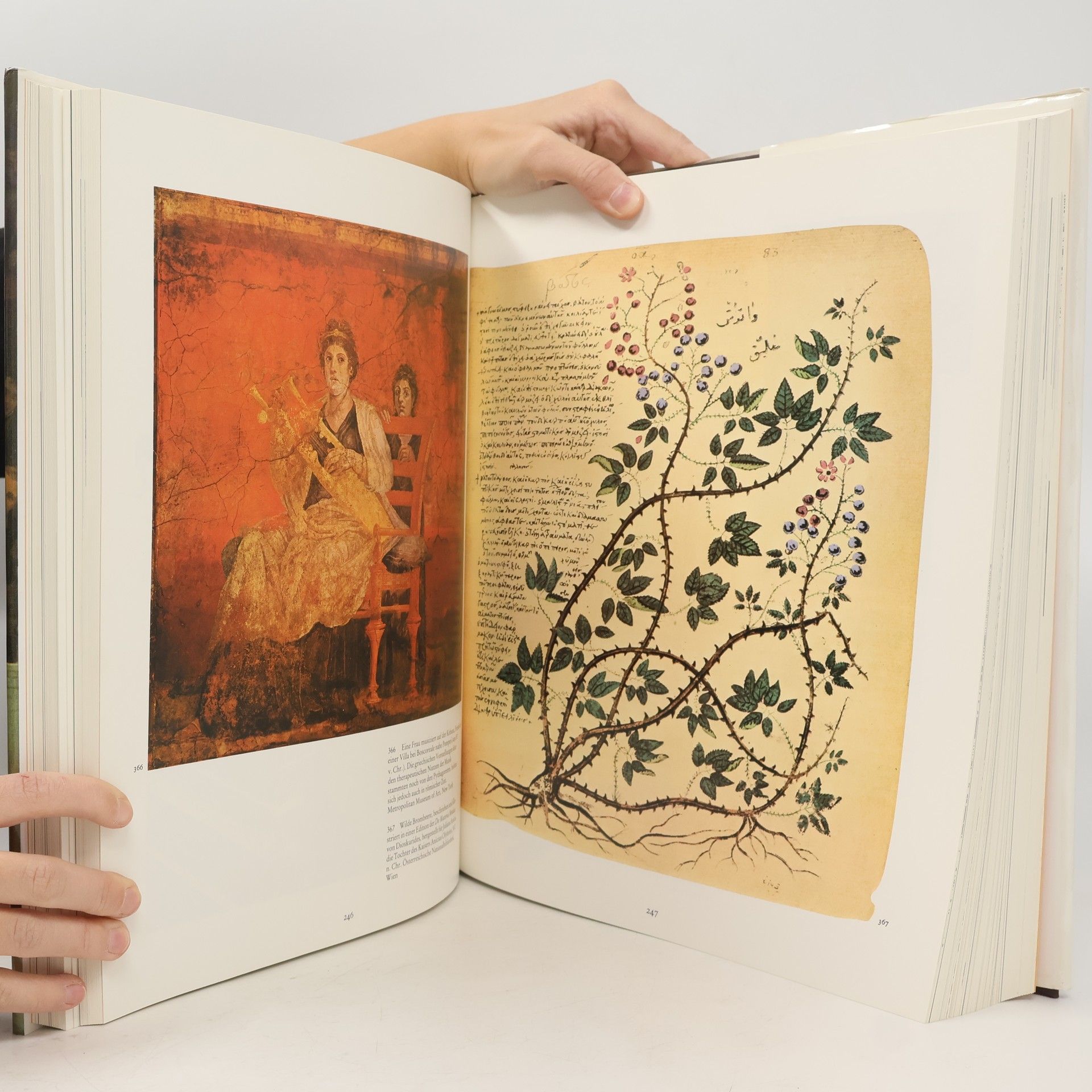 Albert S. Lyons Die Geschichte der Medizin im Spiegel der Kunst