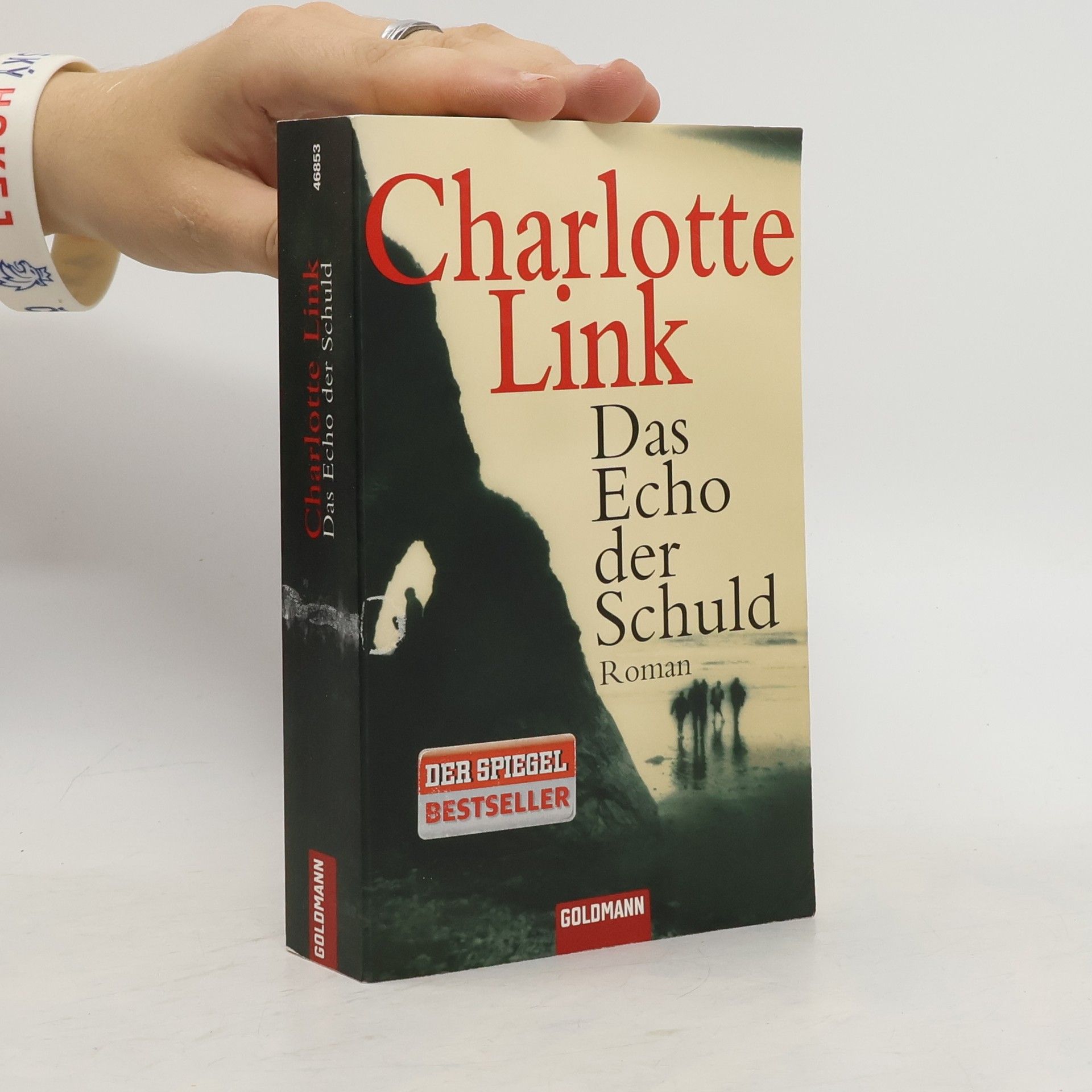 Charlotte Link Das Echo der Schuld