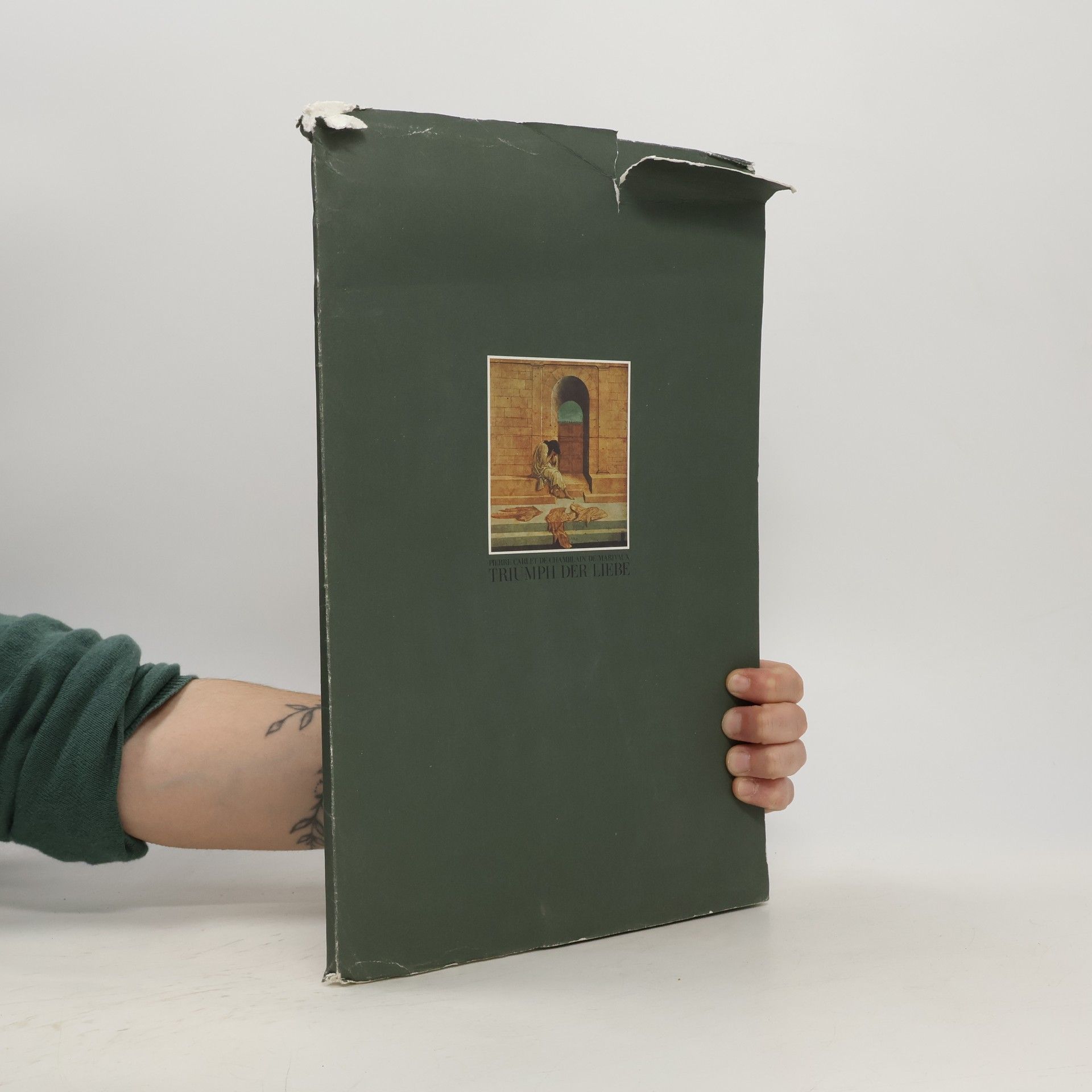 AA.VV. Triumph der Liebe