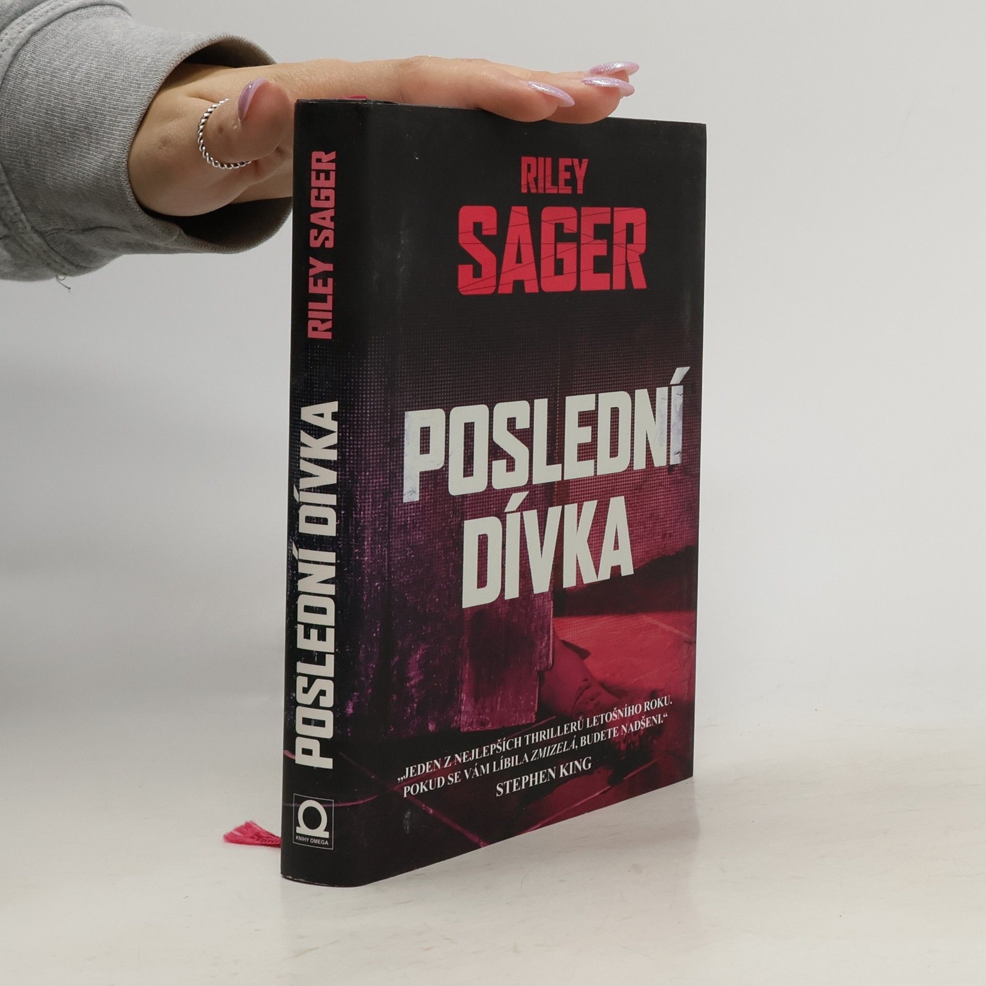 Todd Ritter Poslední dívka