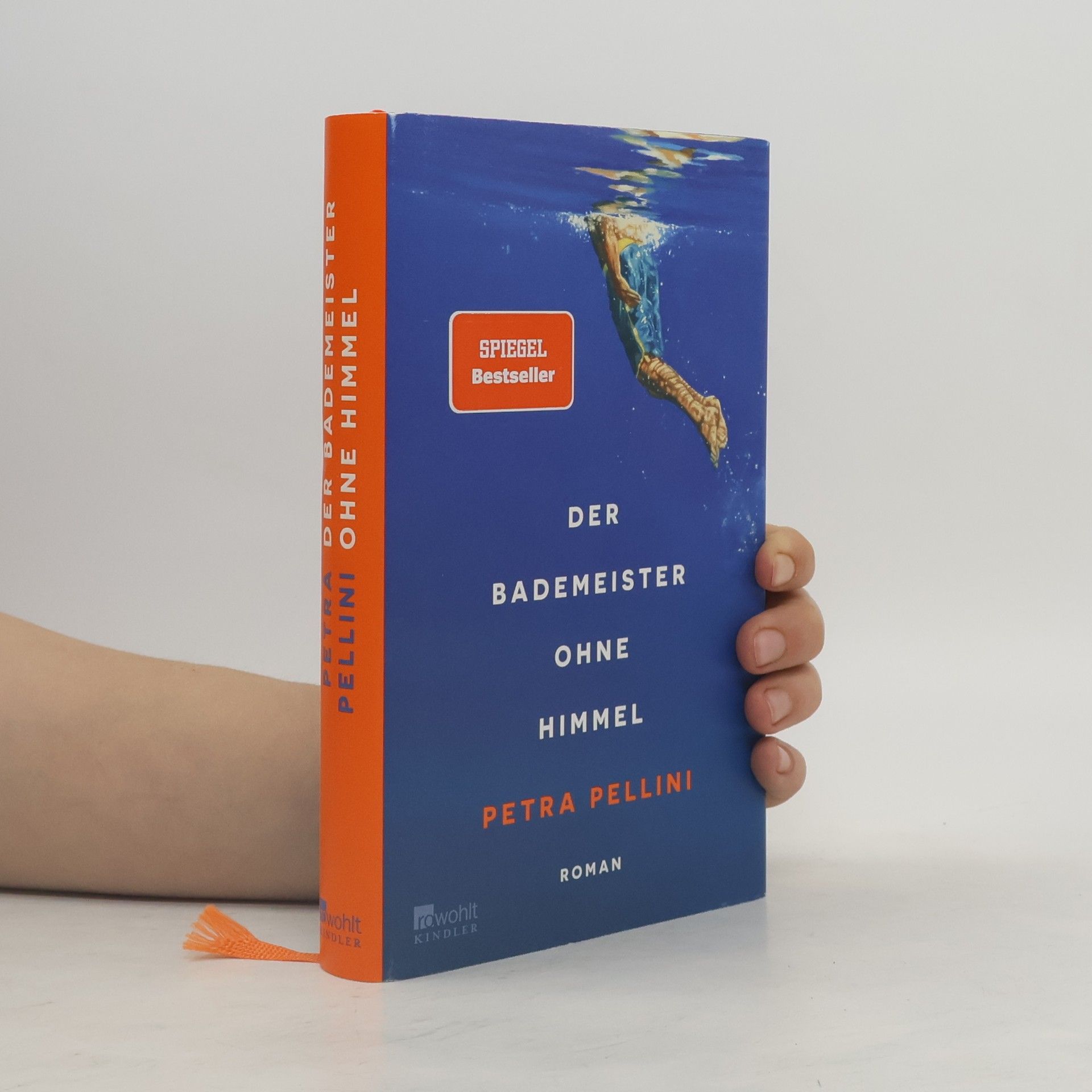 Petra Pellini Der Bademeister ohne Himmel