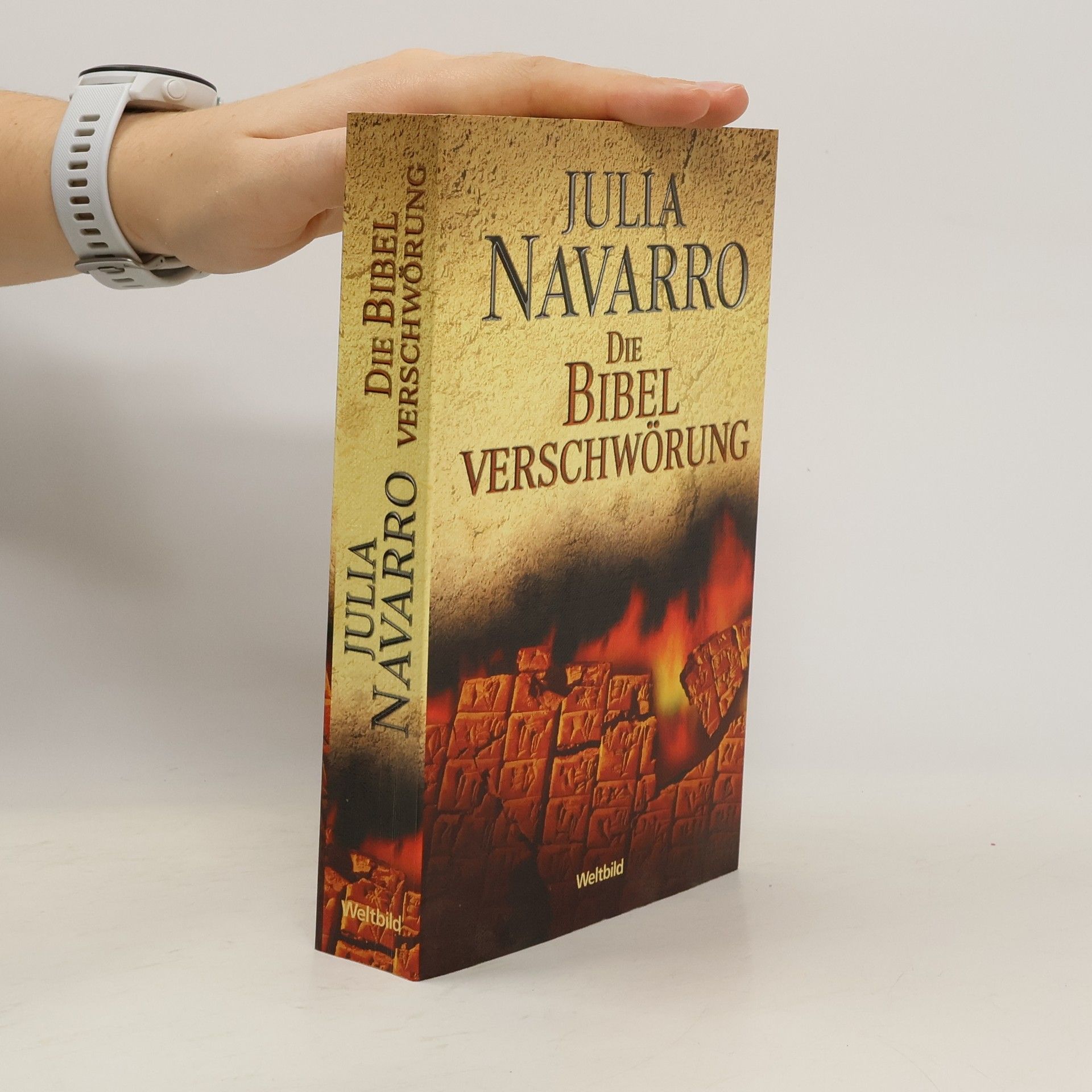 Julia Navarro Die Bibel-Verschwörung