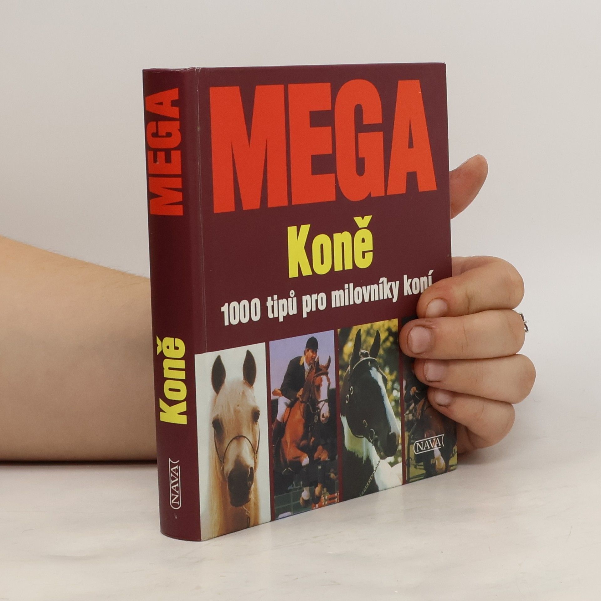 Edgar Wüpper Mega: Koně