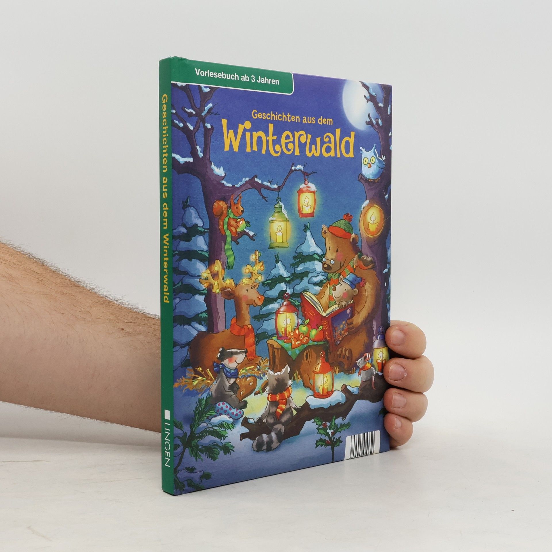 Collectif d'auteurs Geschichten aus dem Winterwald